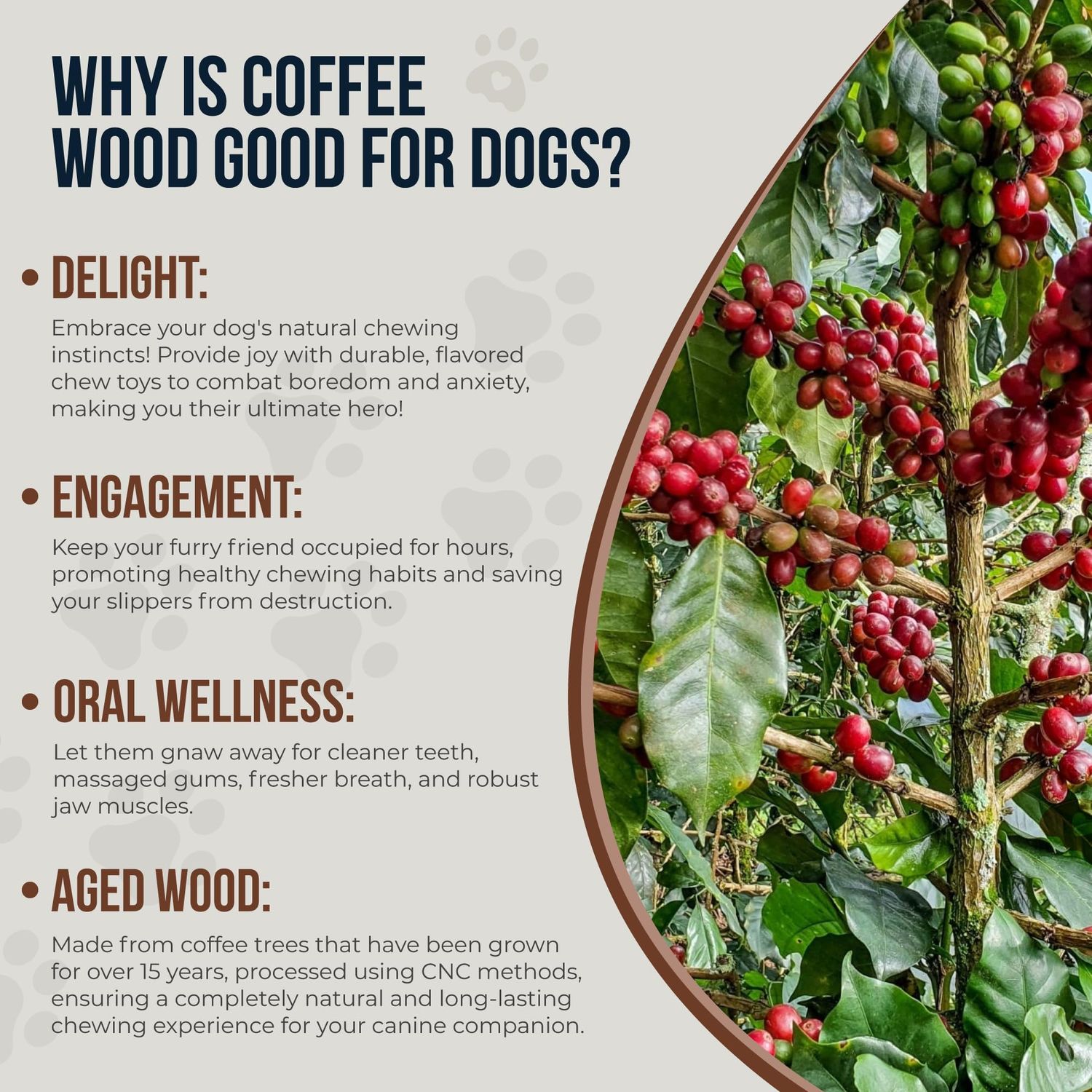 GOWGOW Coffee Wooden Chews for Dogs & Natural Rope Toys - 100% Coffee Stick Dog Chew for Teething, Stress Relief, Dental Health, Organic Dog Toys - Real Wood Toy