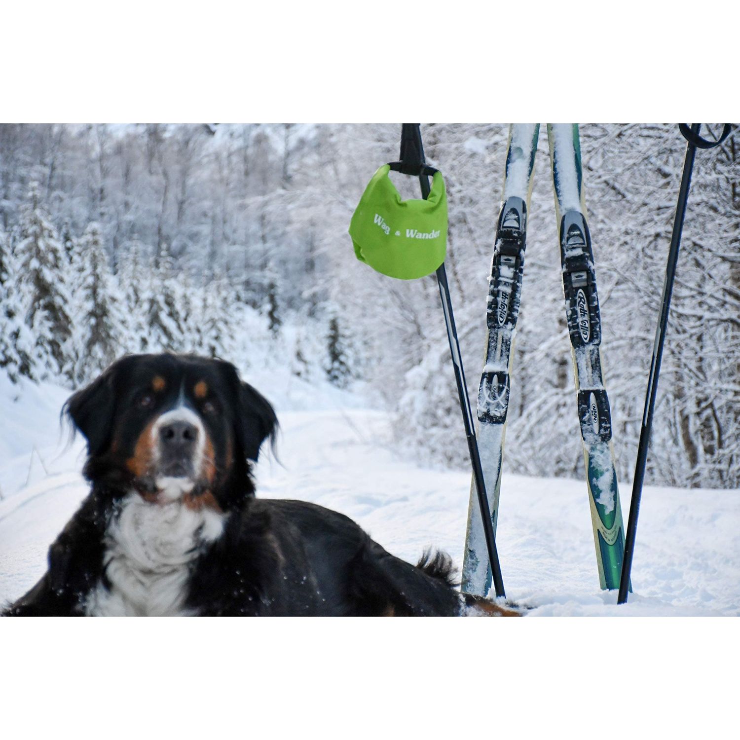 Reusable Smell Proof Waste Bag - Dog Poop Bag Holder for Dog walkers + Hiking with Dogs & Camping. Odor Proof Wag Bag, Diaper Wet Bag, Camping Trash