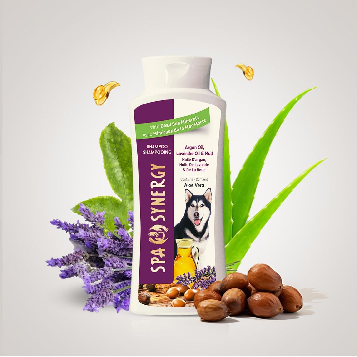 Spa Synergy Pet Dog Shampoo Mud and Natural Dead Sea Mineral Rich, Aloe Vera & Vitamin-E, Anti Dandruff, Relief Psoriasis & Eczema, Moisturizing - Argan Oil & Lavender Oil - (1) Bottle 16.5 FL OZ