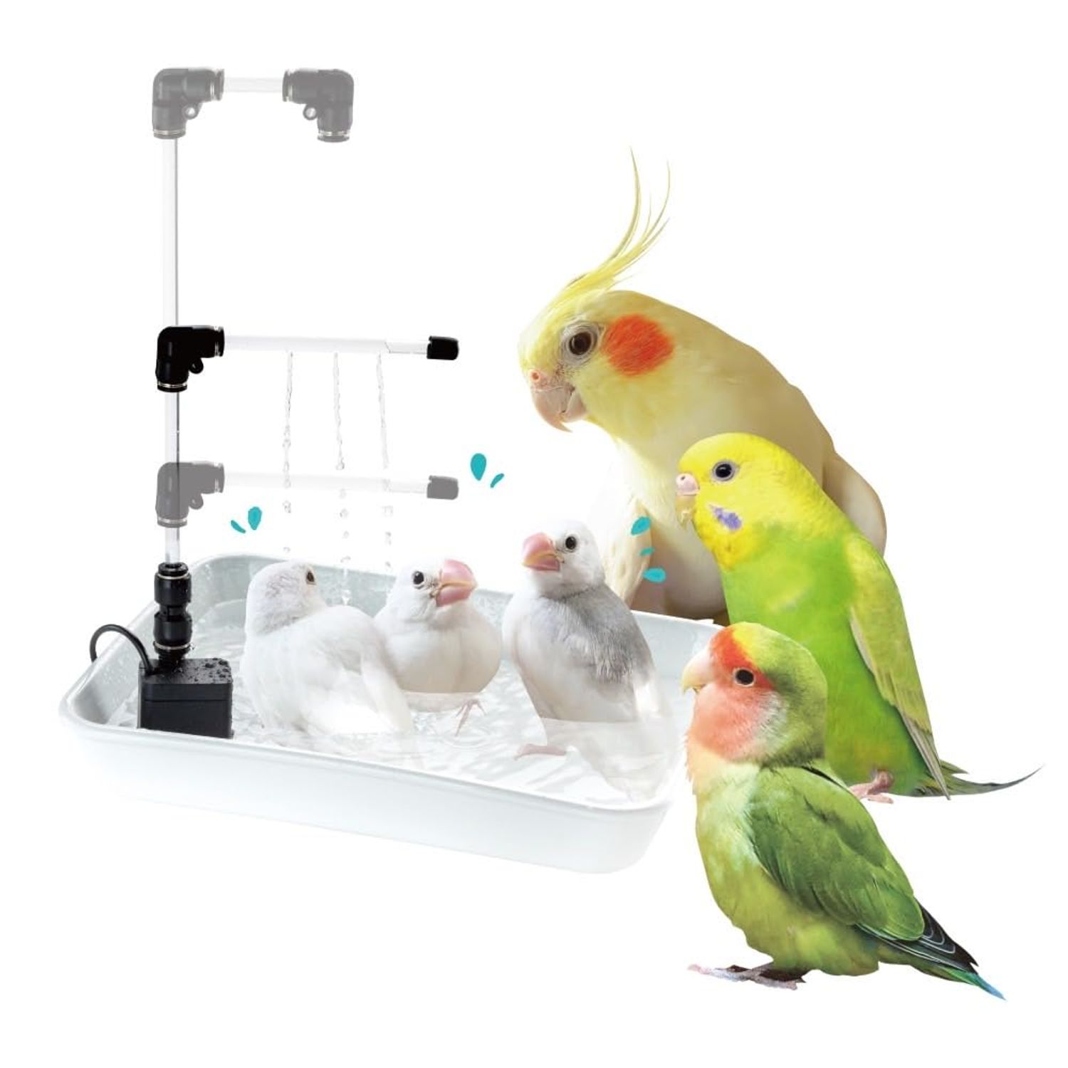 Bird Shower　Parakeet Fountain Bath　Bird Bath for cage　 Parrot Bird Bath Fountain　pet Bird Bath　Japan Import