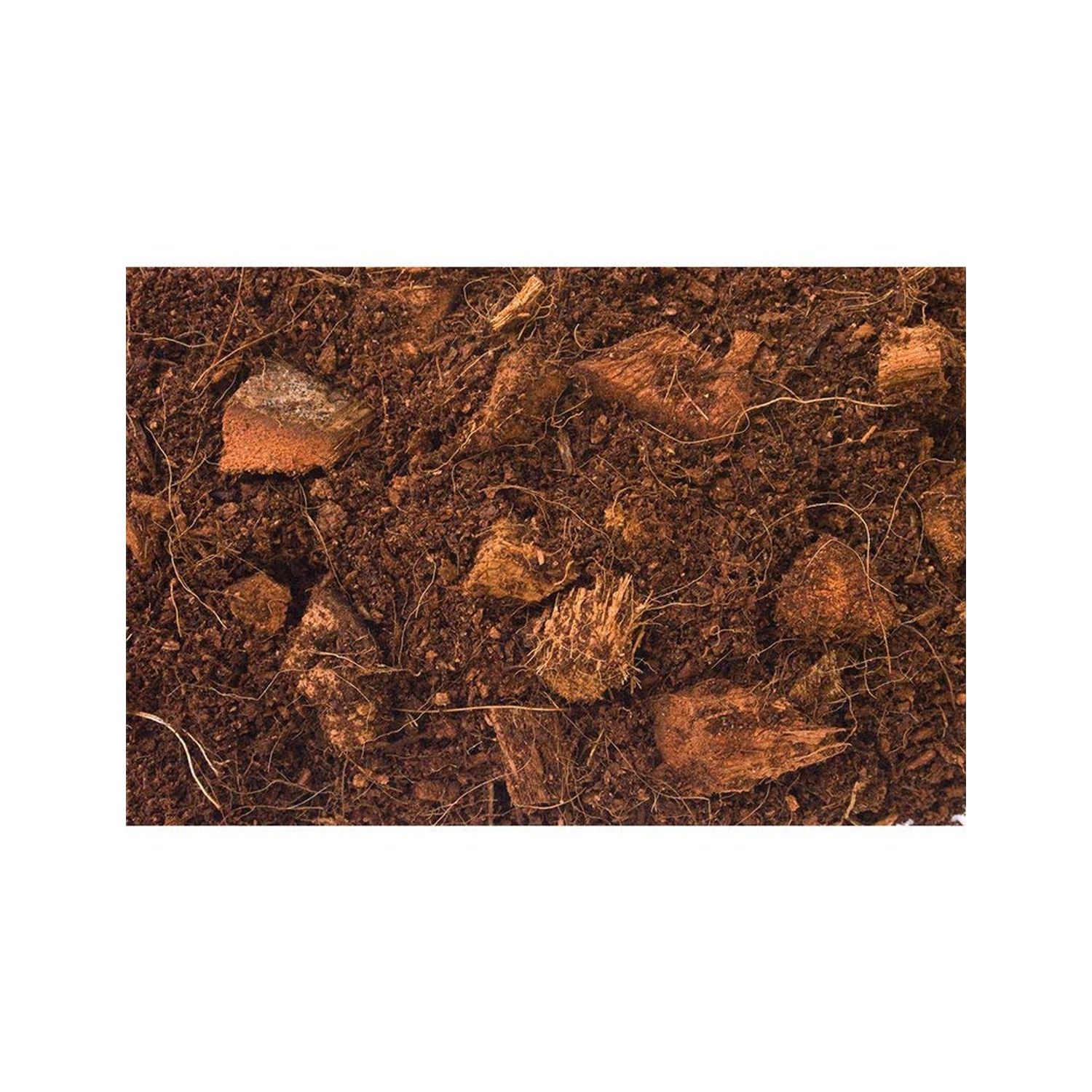 T-Rex Reptile Terrarium Substrate Bedding- Jungle Bed 4qt Bag (4qt)