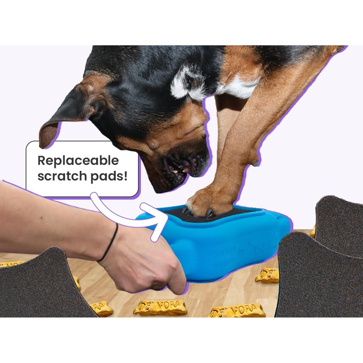 De' Vora Scratch Square - Dog Nail Scratch Board Treat Box | 5 in 1 Dog Scratch Pad for Nails | Dog Nail Scratch Board with Treat Box | Scratch Pad for Dogs Nail File | Dog Scratch Board for Nails S/M