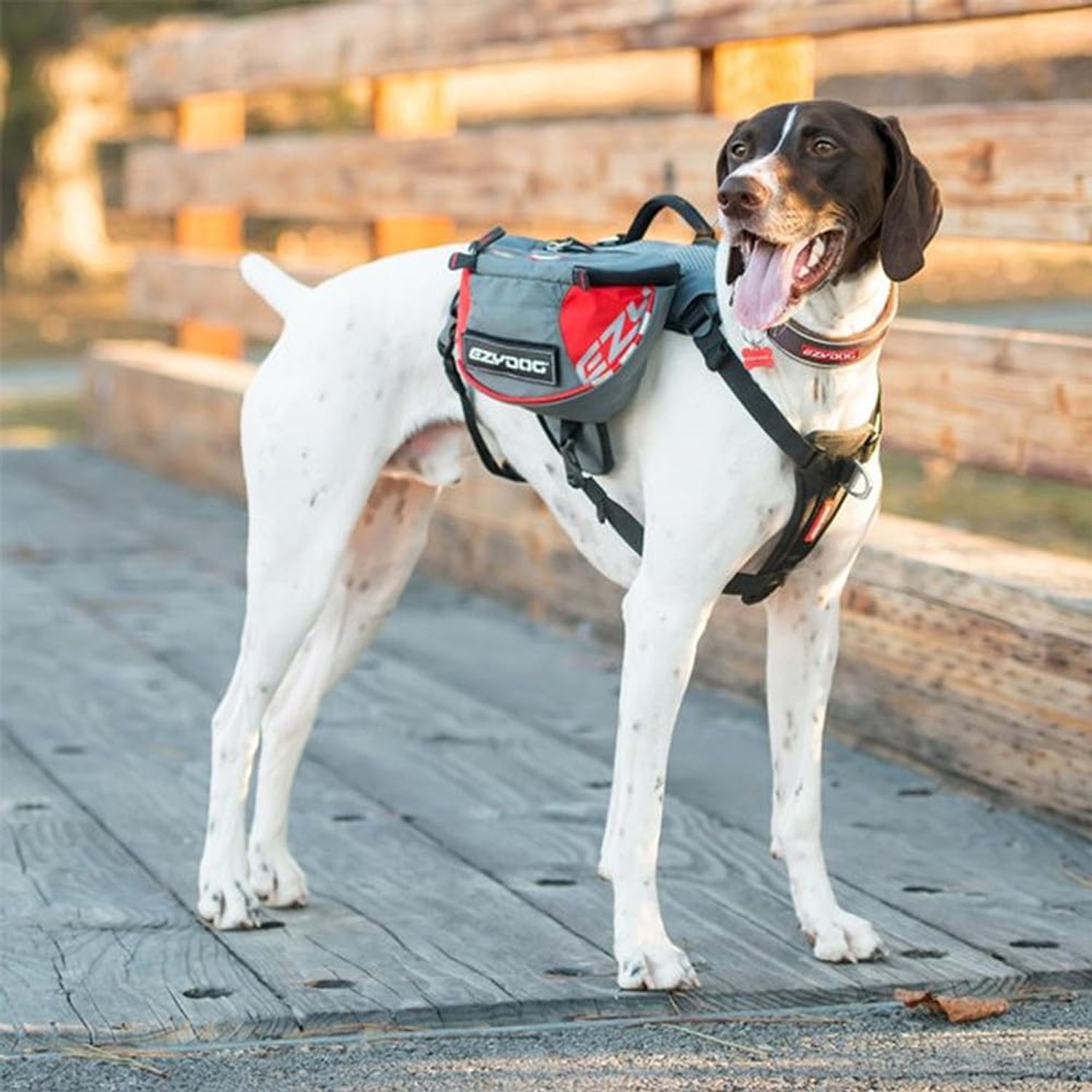 EzyDog Summit Outdoor Dog Backpack - Reflective and Incorporates a Chest Plate Harness - Easy Access Saddlebags with Superior Storage Capacity and Comfort - Front Pull Ring (Red/Gray, Small)
