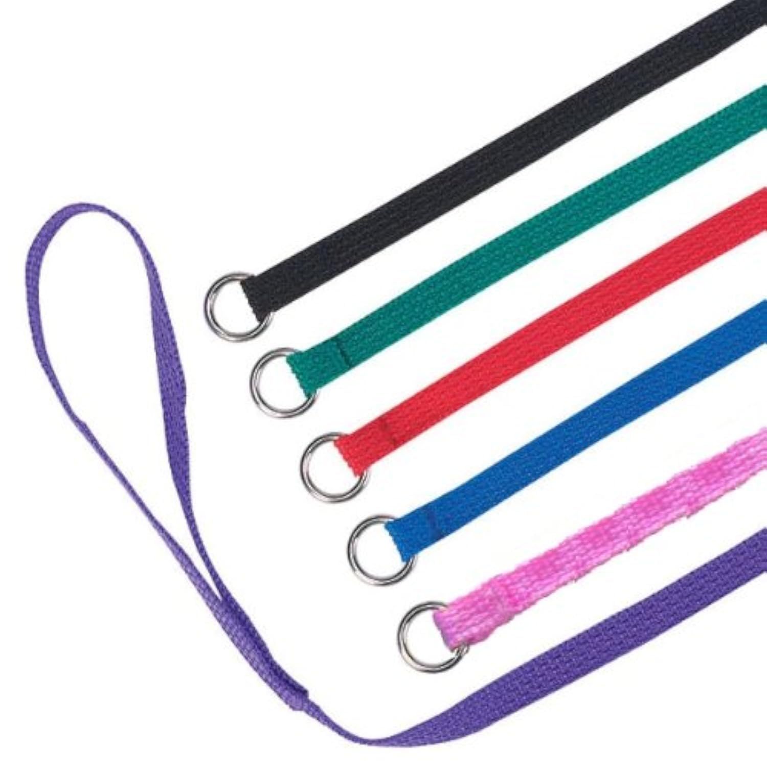 Downtown Pet Supply Slip Lead Dog Leash 24 Pack, 4' x 1/2" - Universal Dog Slip Leash with Metal O Ring - Machine Washable Dog Slip Lead for Groomers, Shelters, Rescues, Vets, or Doggy Daycares