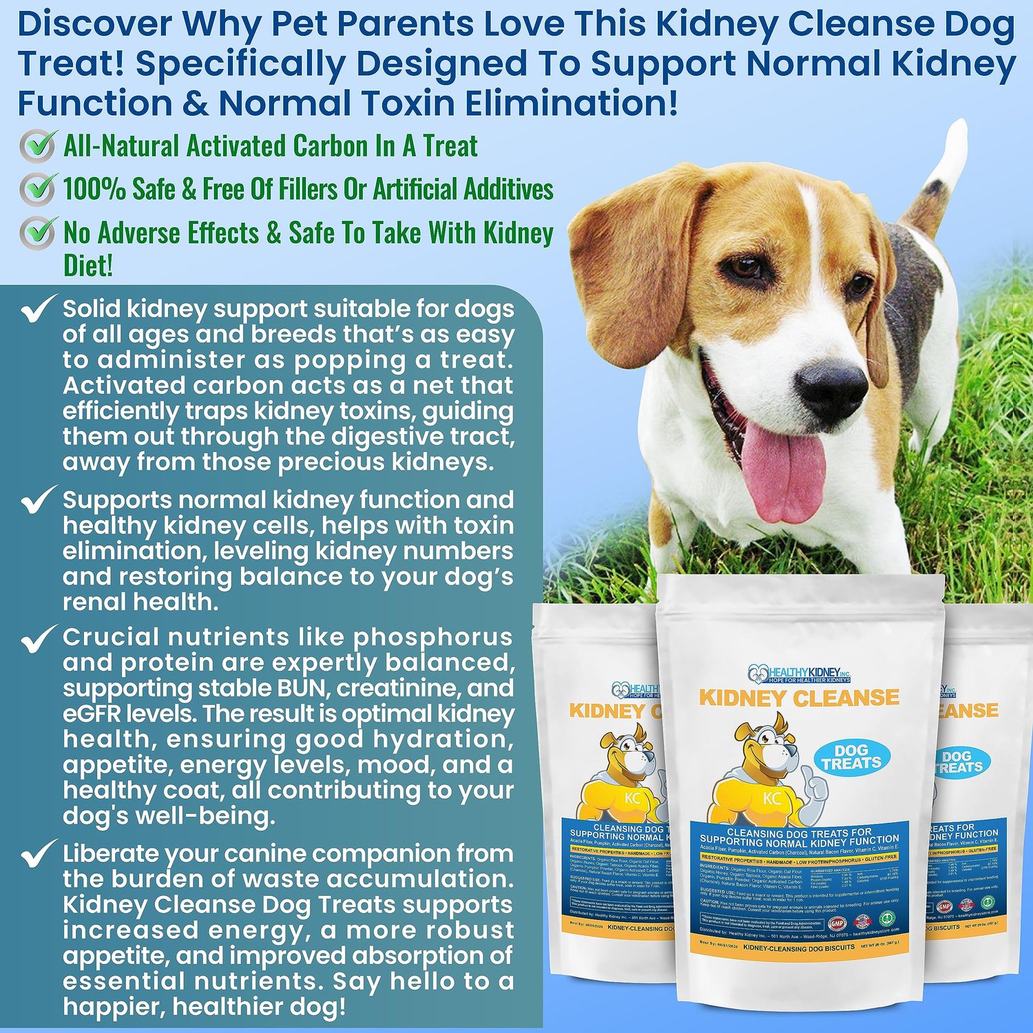 Petite Size Beef Flavor Kidney Cleanse Dog Treats 20 Oz - Kidney Support Formula for Toxin Elimination - Low Protein & Phosphorus Diet Snacks - Ideal for Kidney Wellness