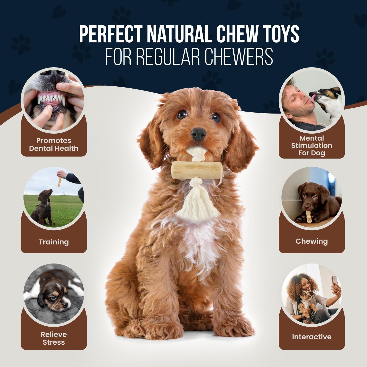 GOWGOW 4 Pack Coffee Wood Dog Chew, Wood Tug, Rope Tug & Rope for Small & Medium Dog 15-40 lbs, 100% Natural Teething Toys, Rope Toy to Keep Them Busy, Organic Dog Toy, Relieve Stress - Wooden Toy