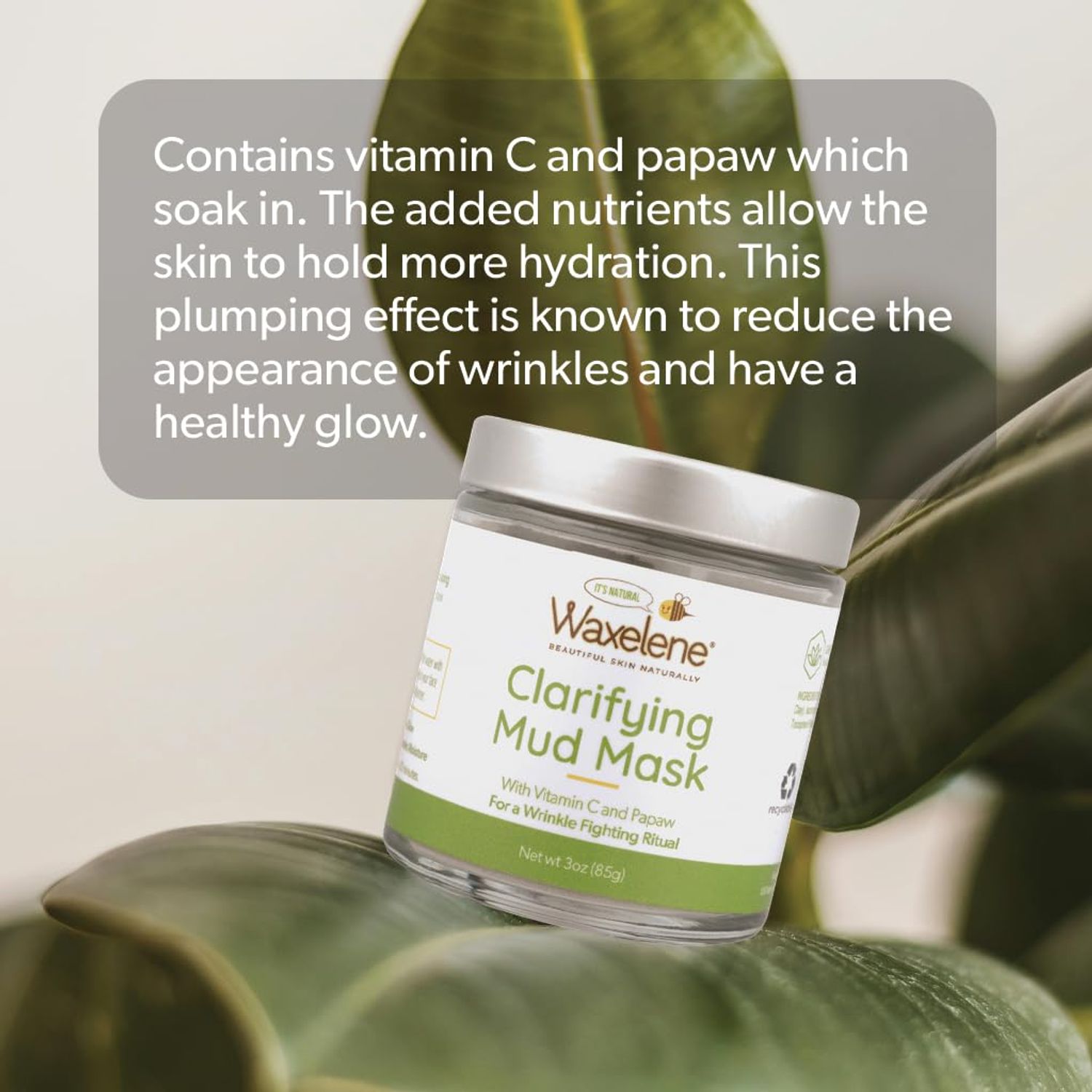 Waxelene Mud Mask Pack - Gift Set With Beautifying, Clarifying and Detoxifying Mud Masks. Fights Wrinkles Cleans Pores Acne Tightens Plumps Oily Skin