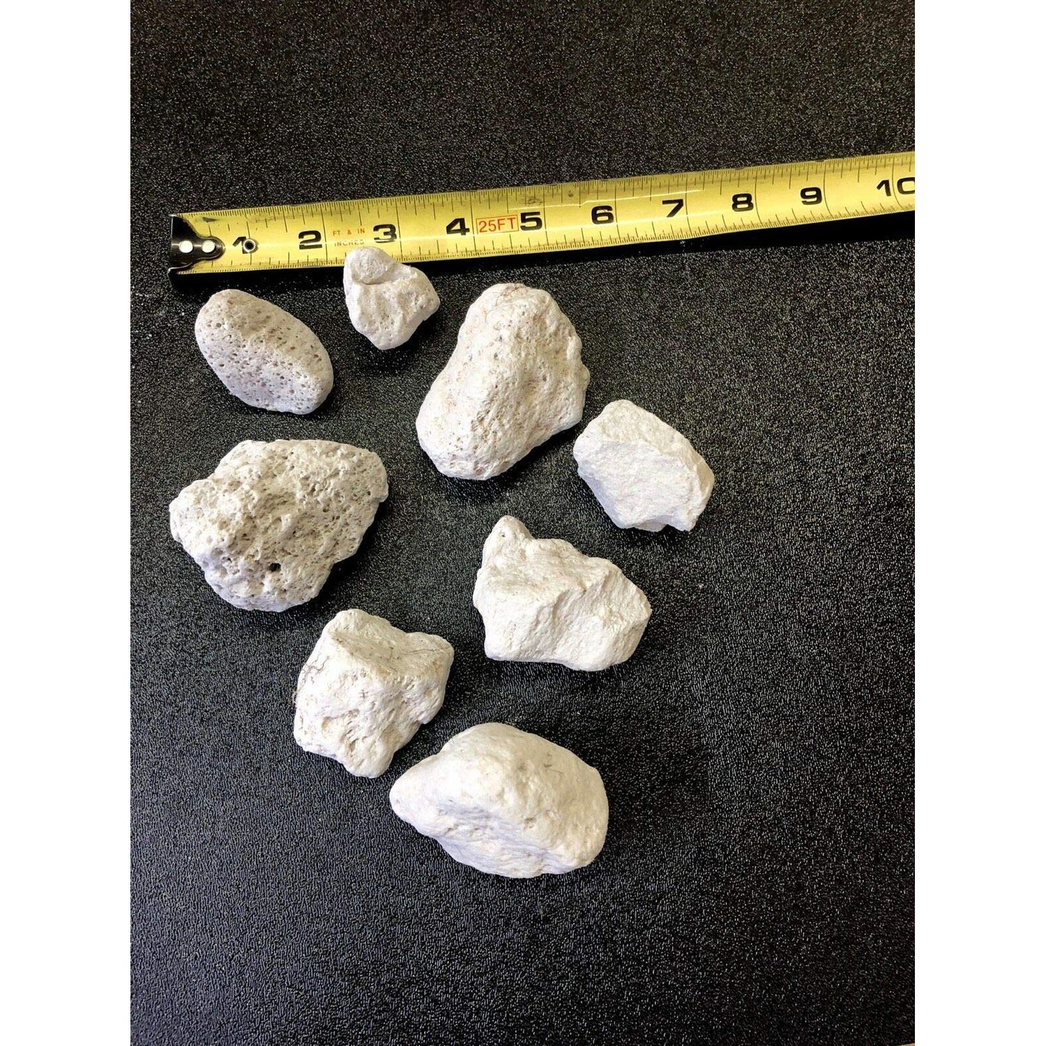 1 Gallon Natural Premium Quality Pumice Filter Media for Koi Pond, Bakki Shower, Fresh Water & Marine Aquariums