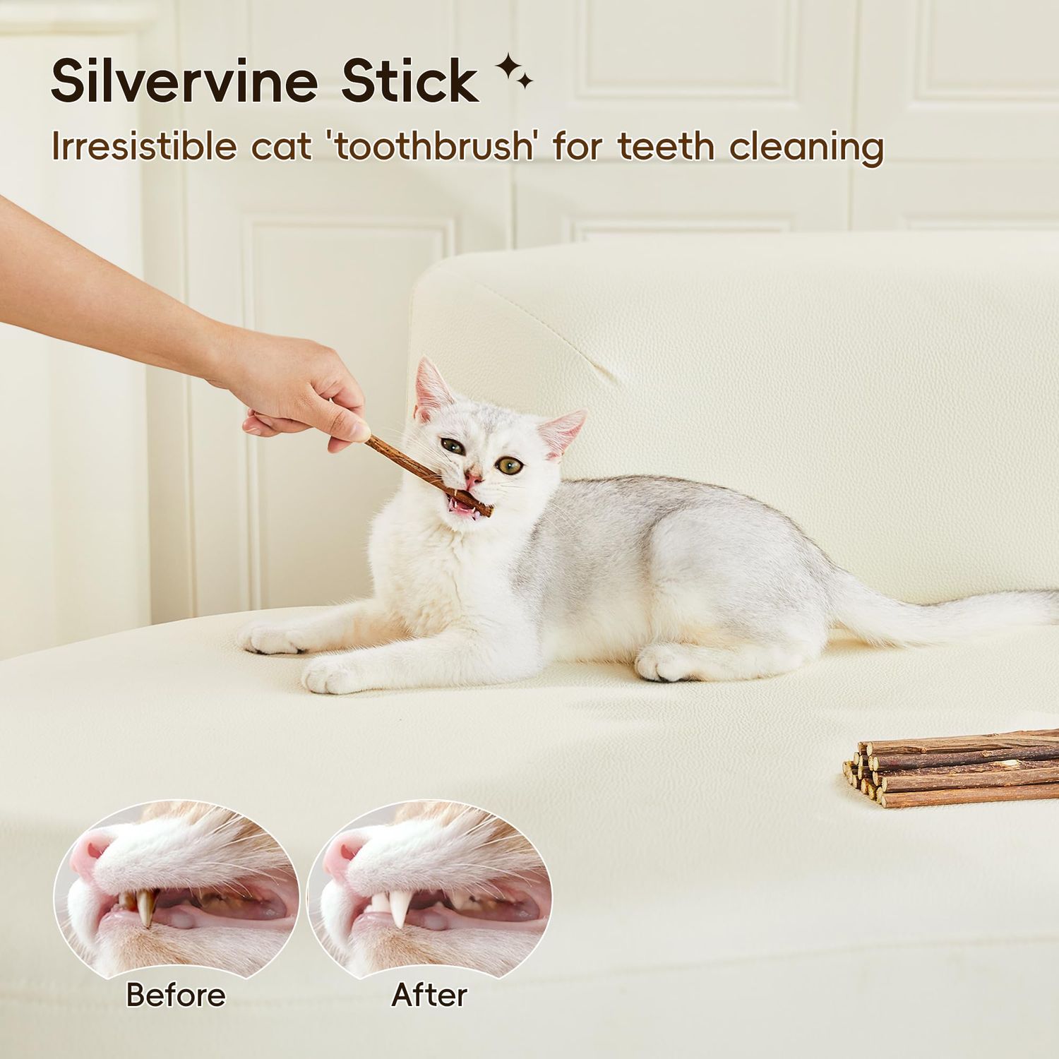 Potaroma Natural Catnip Silvervine Gall Fruit Cat Toys Set with Plush Shell, Organic Kitten Toys for Relaxing and Teething, Interactive Cat Kicker Toys (2.2" Dia Tubes)