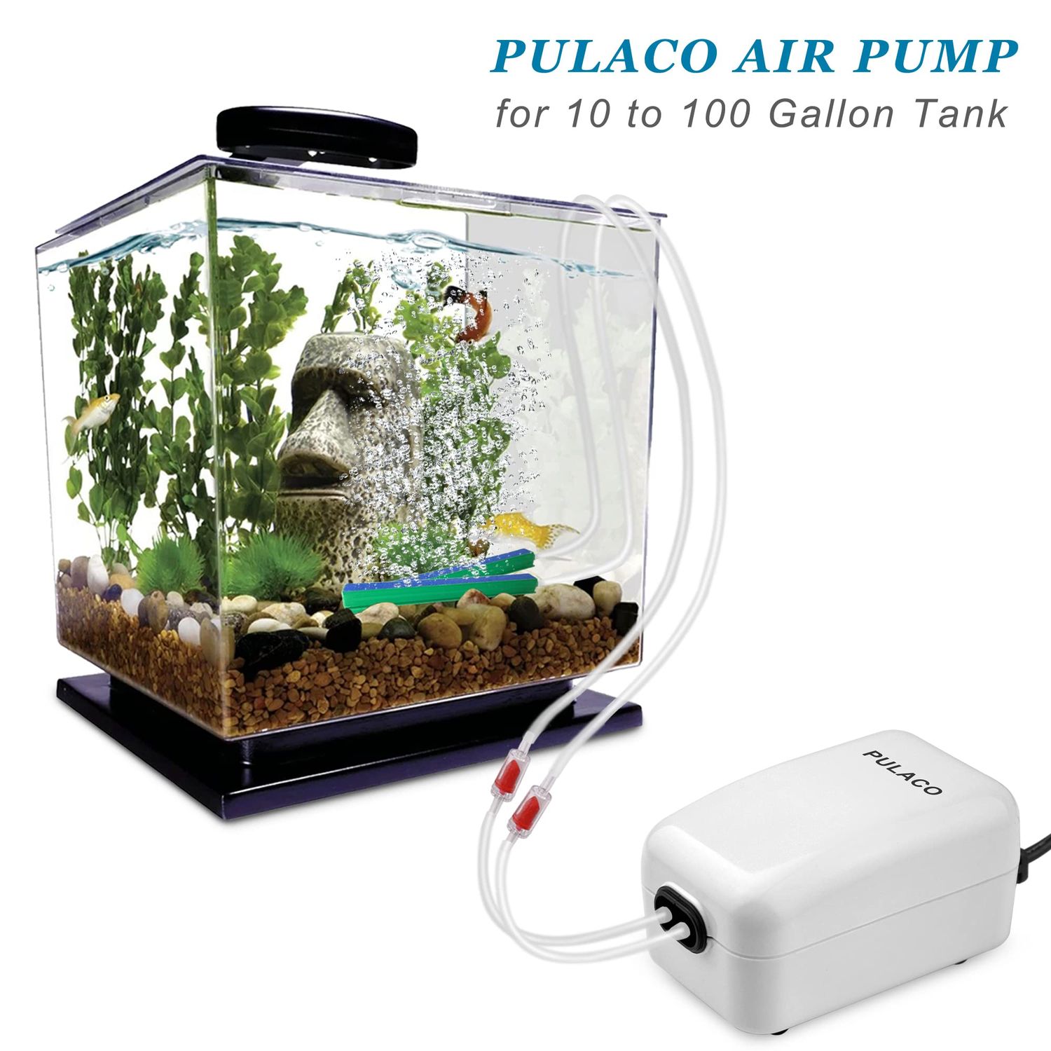 PULACO Dual Outlet Aquarium Air Pump, Quiet Oxygen Pump with Accessories for 10 to 100 Gallon