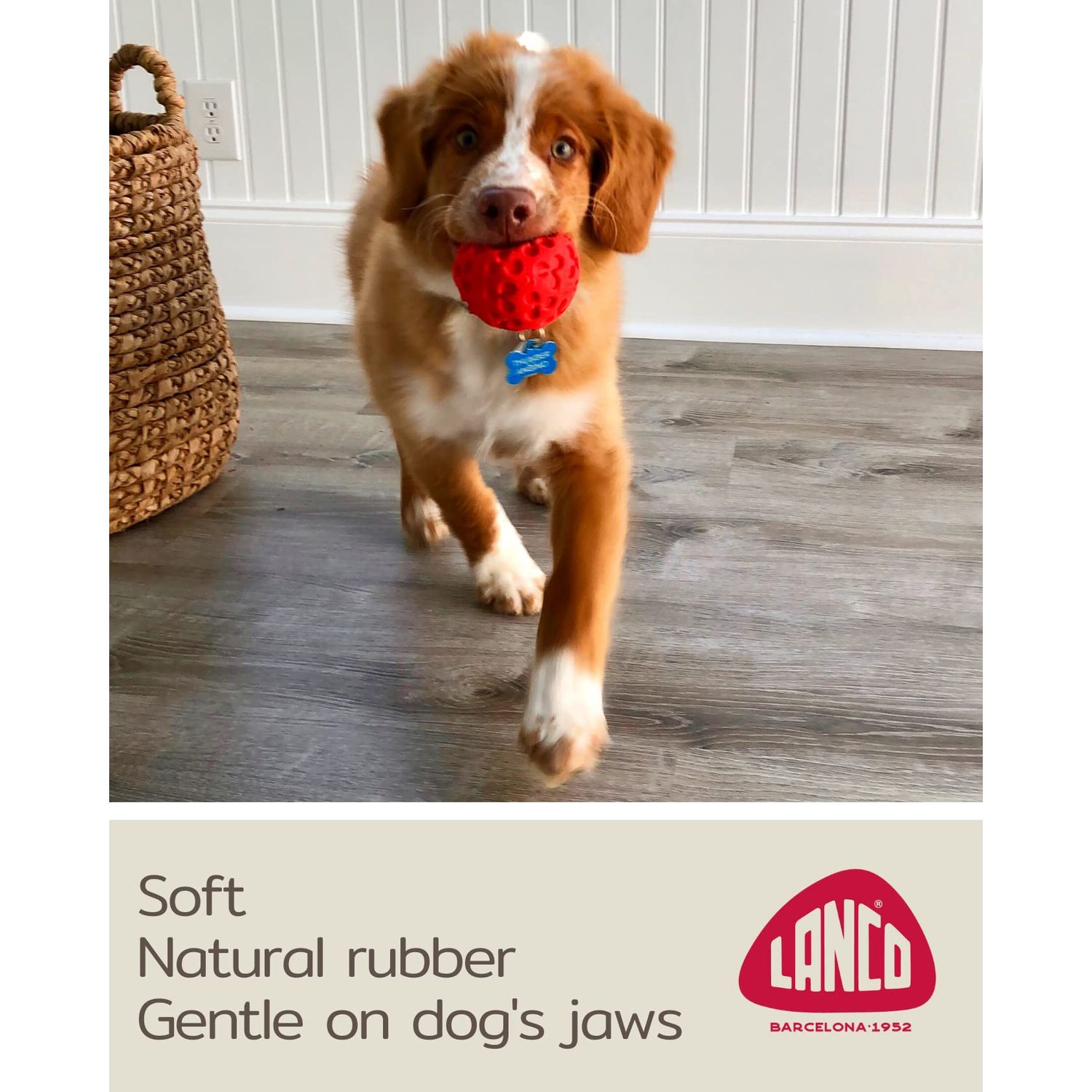 Small Ball Dog Toy - 100% Natural Rubber (Latex) - Soft Squeaky Dog Toy - Small Dogs Puppies - Indoor Play - Complies with Same Safety Standards as Kids' Toys - Small (2.35") - Set of 2 Pink
