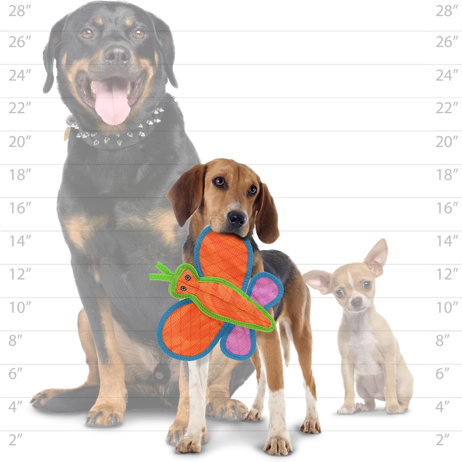 DURA FORCE Durable Woven Fiber - Butterfly - Squeakers - Multiple Layers. Made Durable, Strong & Tough. Interactive Play Dog Toy (Tug, Toss & Fetch). Machine Washable & Floats (Orange Butterfly)