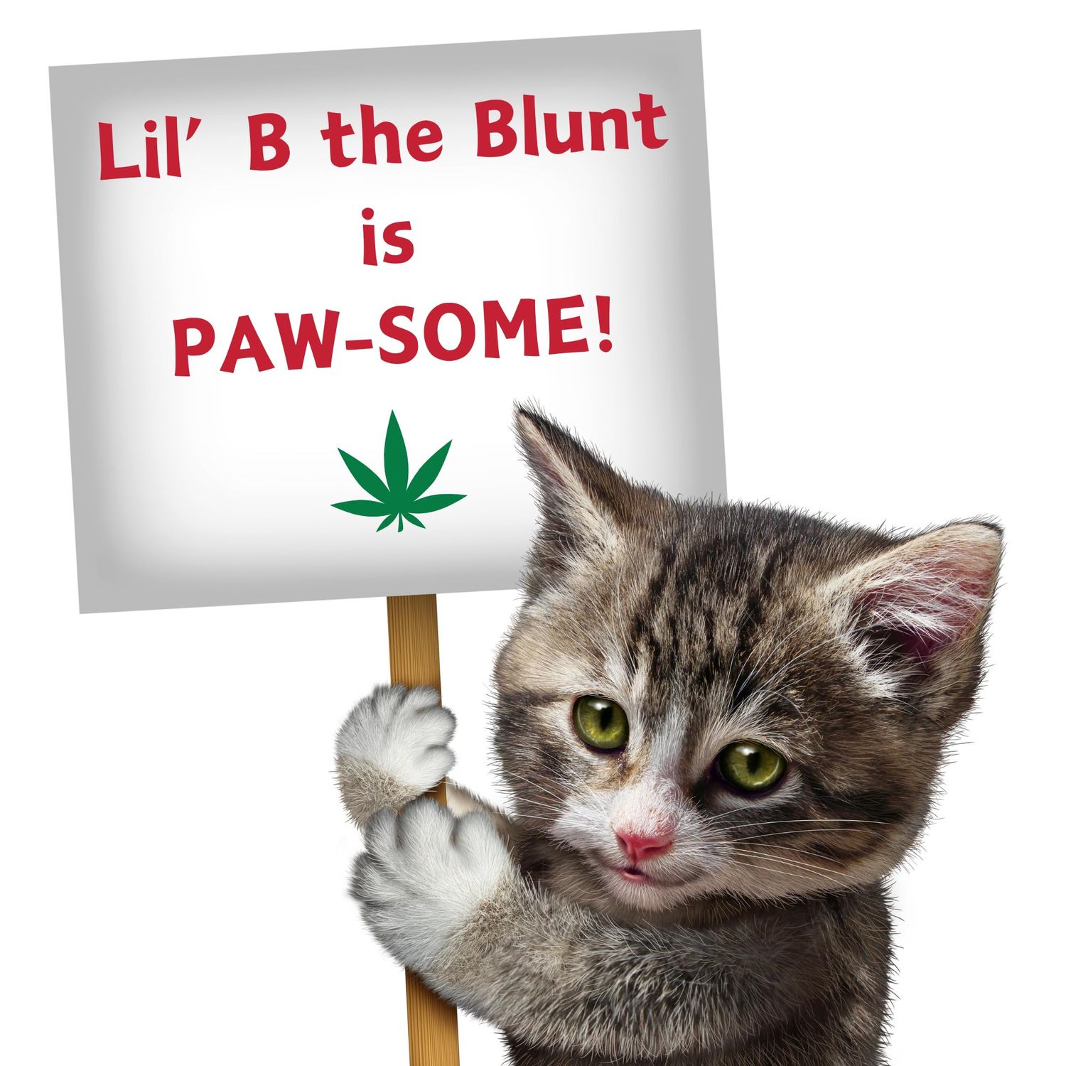 PAW:20 Lil' B The Blunt | Funny Cat Toy | Cool Plush Catnip Toy | Fun Novelty Gift | Play and Funny Photos