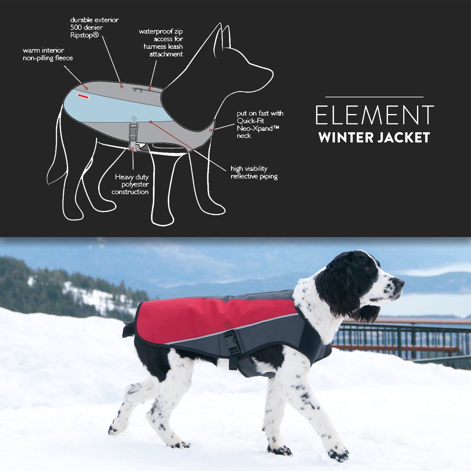 EzyDog Element Best Dog Jacket - Premium Wind and Waterproof Reflective Dog Coat for Safety and Protection - Provides Leash Access to Harness or Collar (Scarlett, XX-Small)