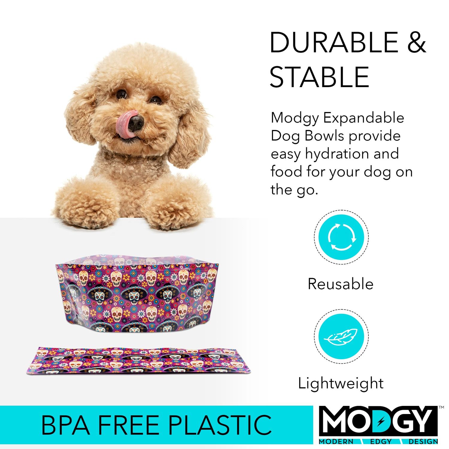 MODGY Collapsible Dog Food Bowl Dish, Reusable, Plastic Travel Size, Portable Container, Camping, Hiking, Car, Road Trip Essential, Cute Pattern, Dia de Perros, Pack of 2