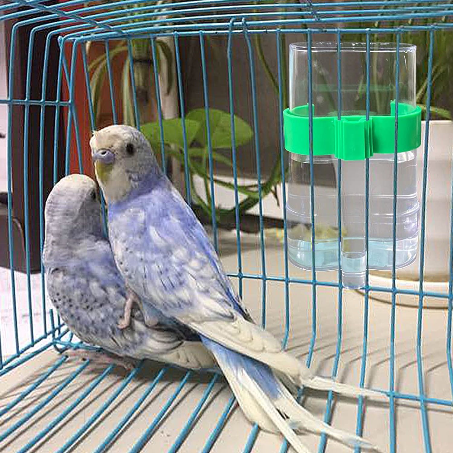 2 Pcs Automatic Bird Water Dispenser, Parrot Bird Water Feeder, Bottles Bird Drinker Seed Food Container, Parakeet Cage Accessories for Parakeet Budgies Cockatiel Lovebird Small Birds Canary Finch