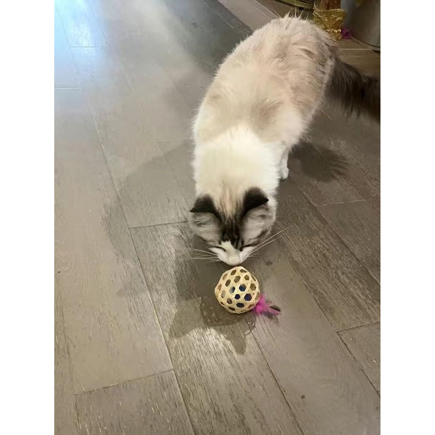 Haourlife Cat Toy Feather Tail Mouse with Cute Handmade Small Bamboo Cage - 3PCS
