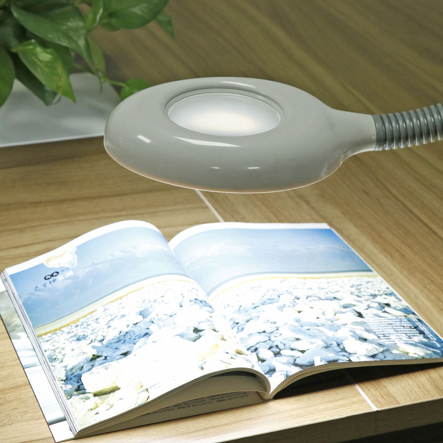 Professional Facial Steamer 2 in 1 Facial Steamer  5X LED Magnifying Lamp