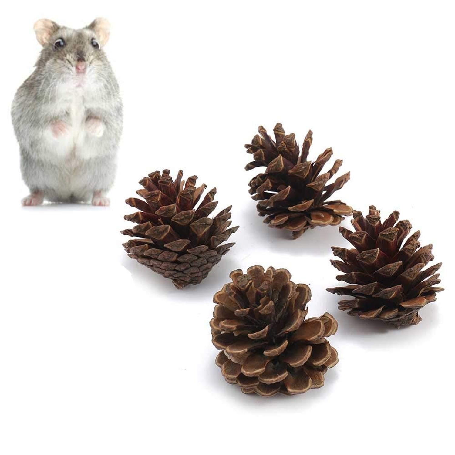 Rabbit Chew Toys, Pet Bunny Tooth Chew Toys Organic Natural Apple Wood Grass Cake Ideal for Bunny, Chinchilla, Guinea Pigs, Hamsters Teeth Grinding, Bird Exercise Molar (13PCS)