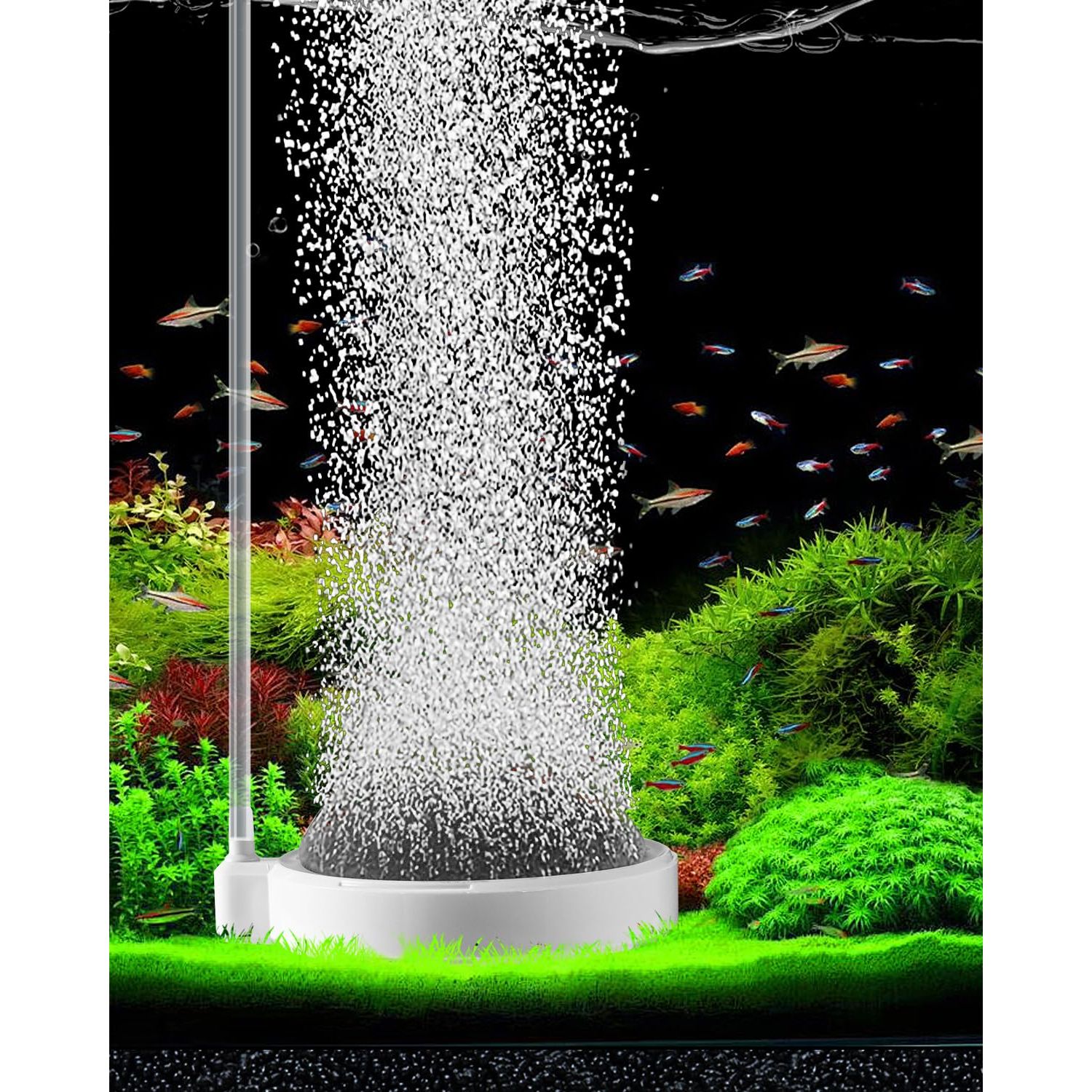 BLOTFISH Air Stone for Aquarium Fish Tank Bubbler, 3.2 Inch Nano Air Bubble Stone Aerator Accessories Bubbler for Fish Tank Air Pump Hydroponics