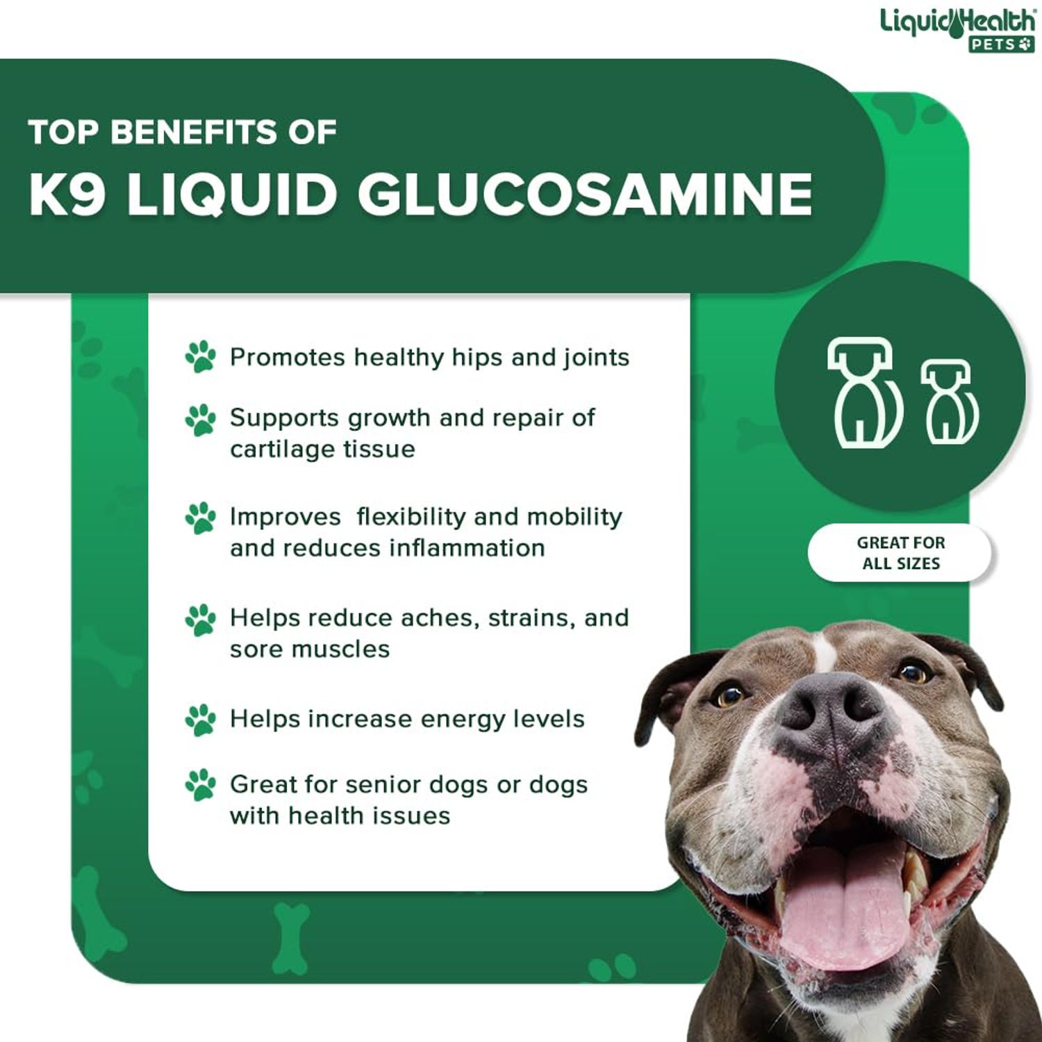 LIQUIDHEALTH 32 Oz K9 Liquid Glucosamine for Dogs, Puppies and Senior Canines - Chondroitin, MSM, Hyaluronic Acid – Joint Health, Dog Vitamins Hip Joint Juice, Dog Joint Oil