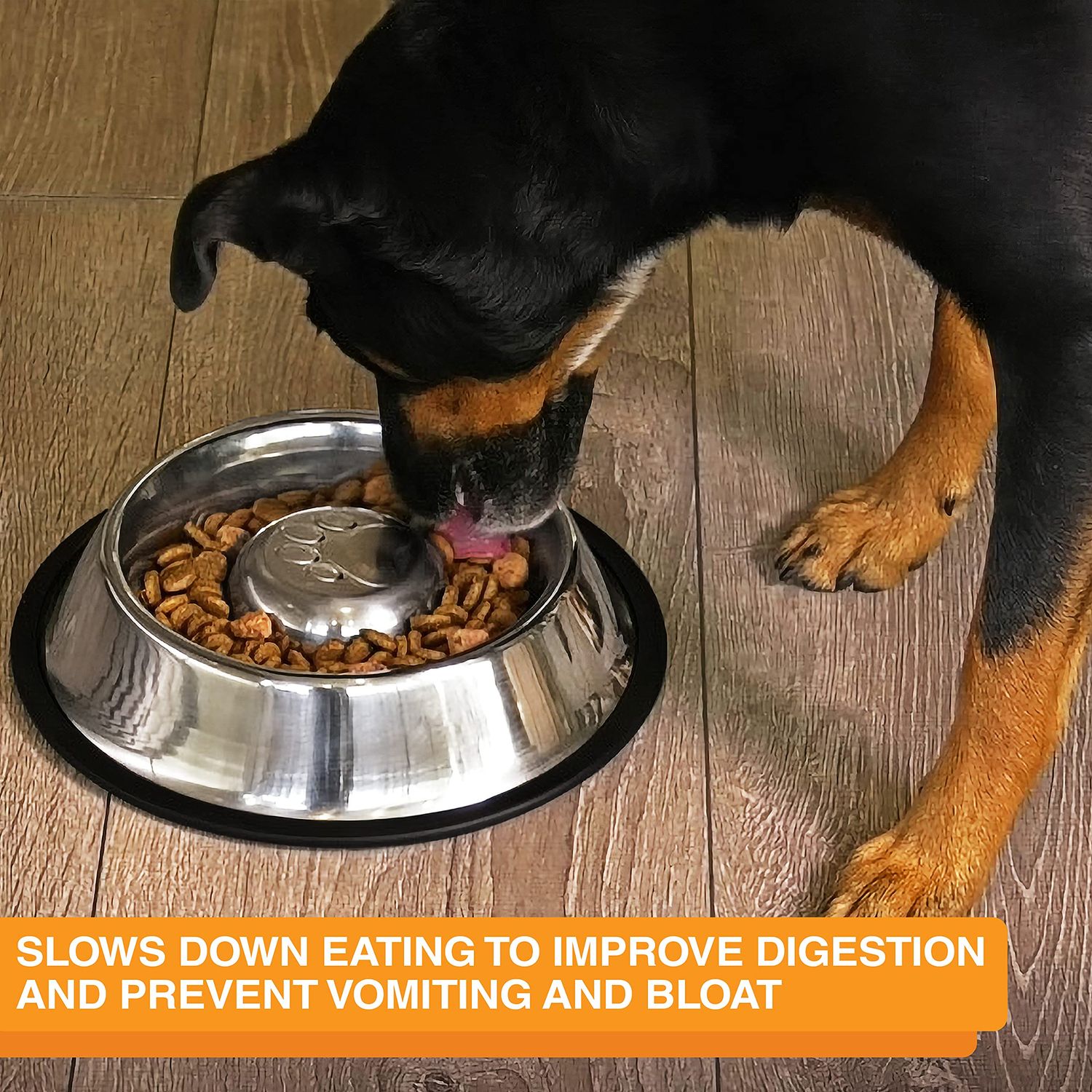 Neater Pet Brands Stainless Steel Slow Feed Bowl - Non-Tip & Non-Skid - Stops Dog Food Gulping, Bloat, Indigestion, and Rapid Eating (3/4 Cup)