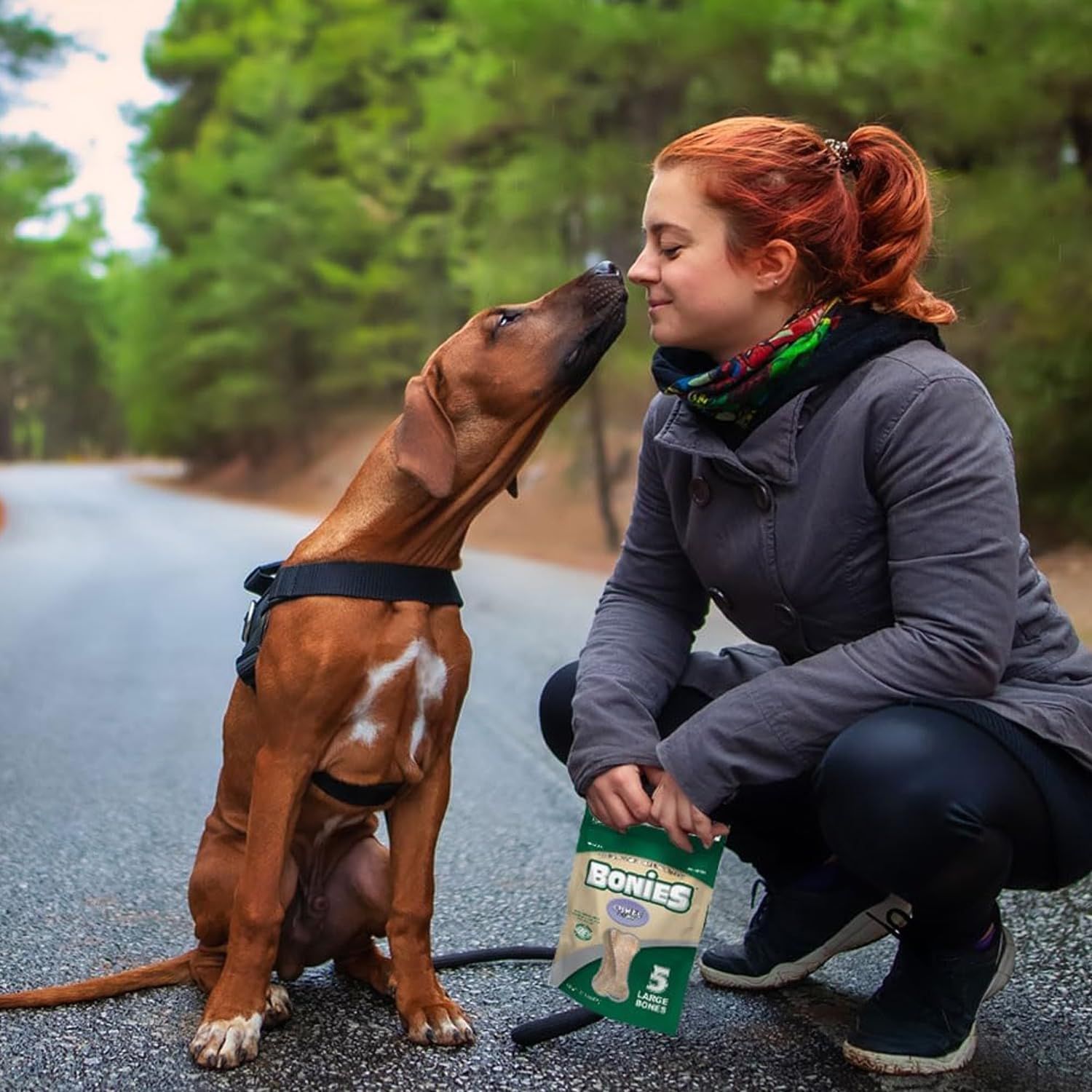 Bonies Natural Calming Formula Dog Treats, Contains Chamomile & Lavender, Help Anxiety, Excessive Barking & Trembling, Chicken Flavor, Medium, 8 Bones