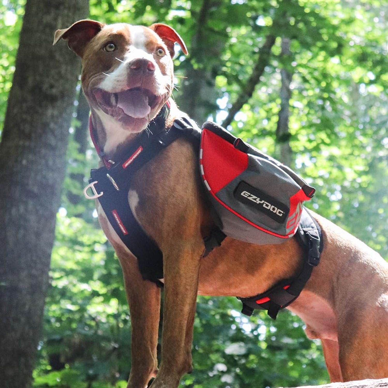 EzyDog Summit Outdoor Dog Backpack - Reflective and Incorporates a Chest Plate Harness - Easy Access Saddlebags with Superior Storage Capacity and Comfort - Front Pull Ring (Red/Gray, Small)