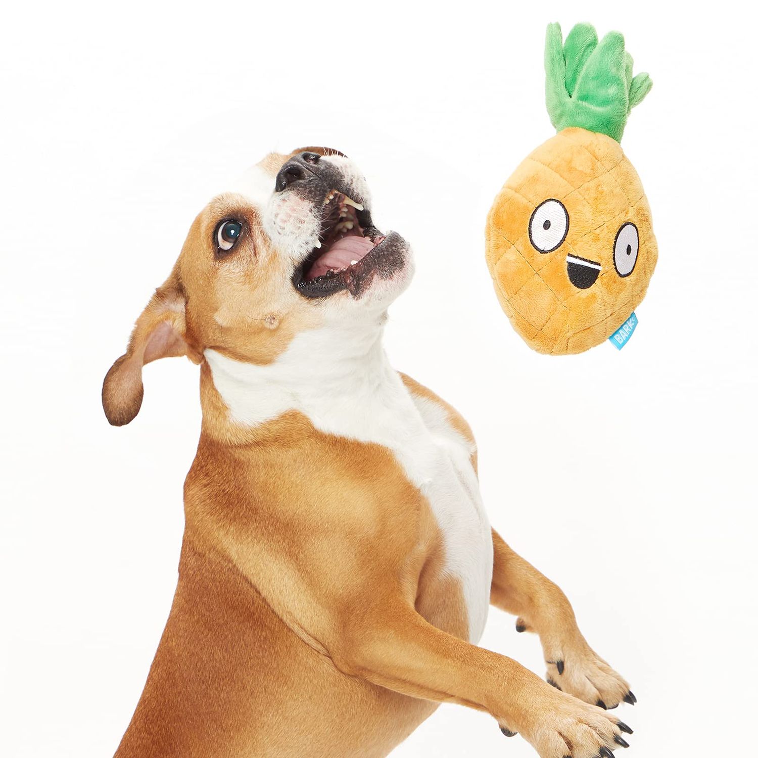 Barkbox 2 in 1 Interactive Plush Dog Toy - Rip and Reveal Toy for Dogs and Puppies - Stimulating Squeaky Pet Toys | Penny Pineapple (Small)