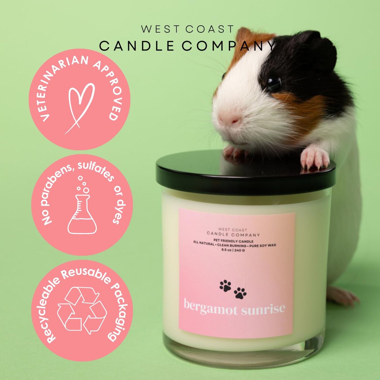 Pet Friendly Wax Melts | Pet Safe Wax Melts | All Natural Dog Safe Wax Melts | Non-Toxic Wax Melts | Pet Odor Eliminator | Pure Soy Wax Melts | Veterinarian Approved (Refresh)