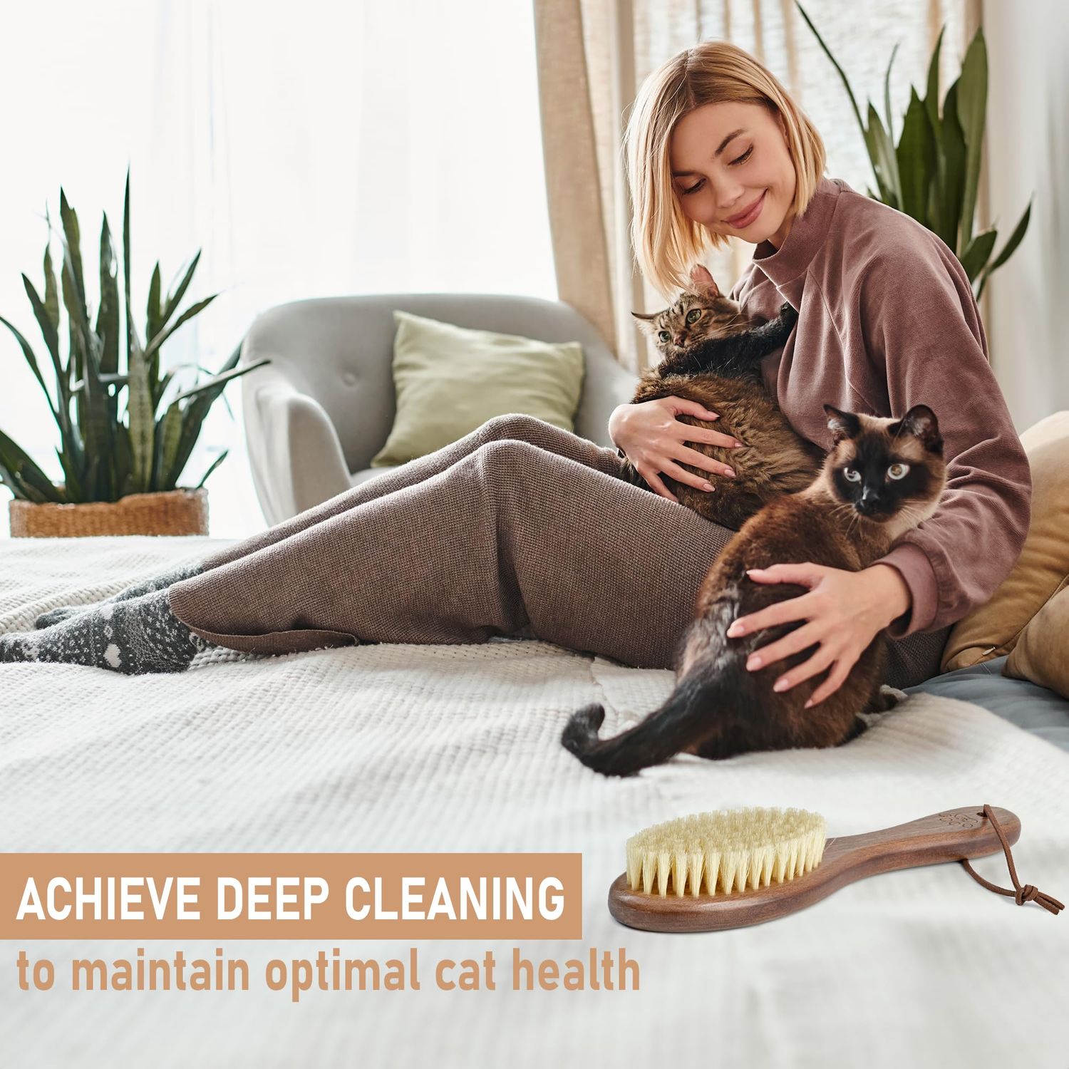 Takavu Boar Bristle Cat Hair Brush, Pet Grooming Brush with Natural White Bristles and Wooden Handle for Sensitive Skin, Pet Cleaning Supplies Keeping Your Cat's Fur Hair Coat Healthy and Shiny