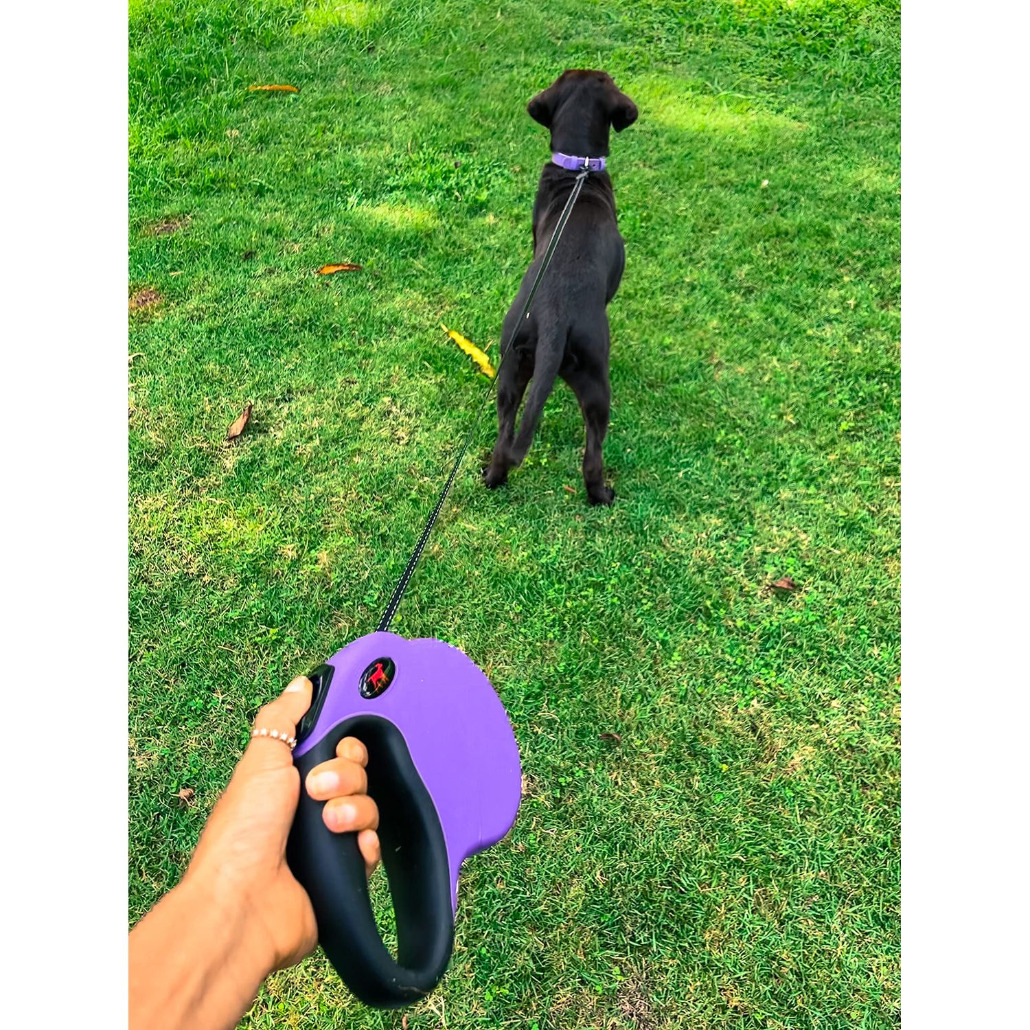 Tuff Pupper Heavy Duty Retractable Dog Leash | 16 ft Dog Leash with Reflective Stitching for Nighttime Safety | One Button Lock and Release | Comfortable Hand Grip | for Dogs Up to 120 lbs