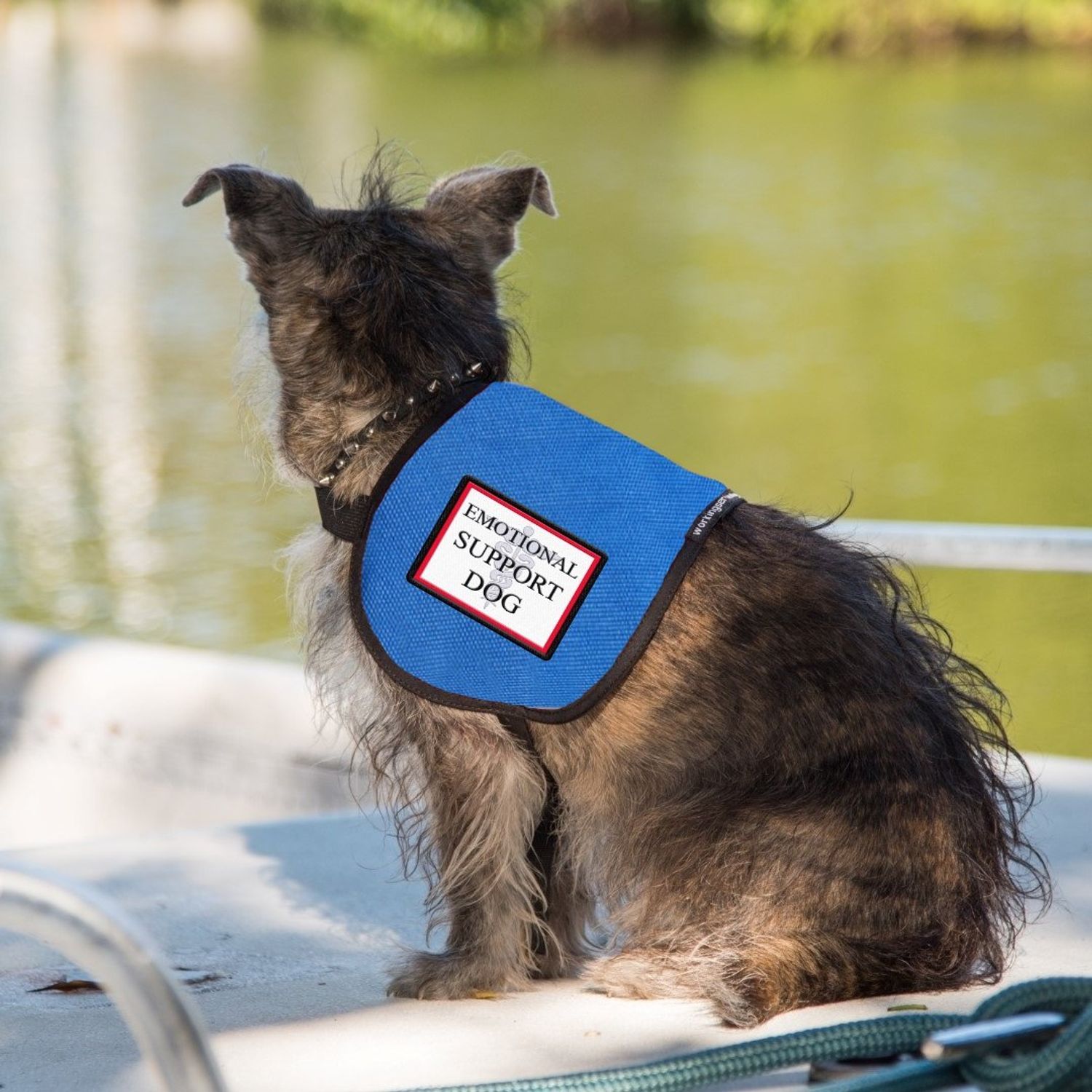 Emotional Support Dog Vest - Complete with Two Patches (4-7 Pounds, RED) - Includes 5 Federal Law ESA Handout Cards