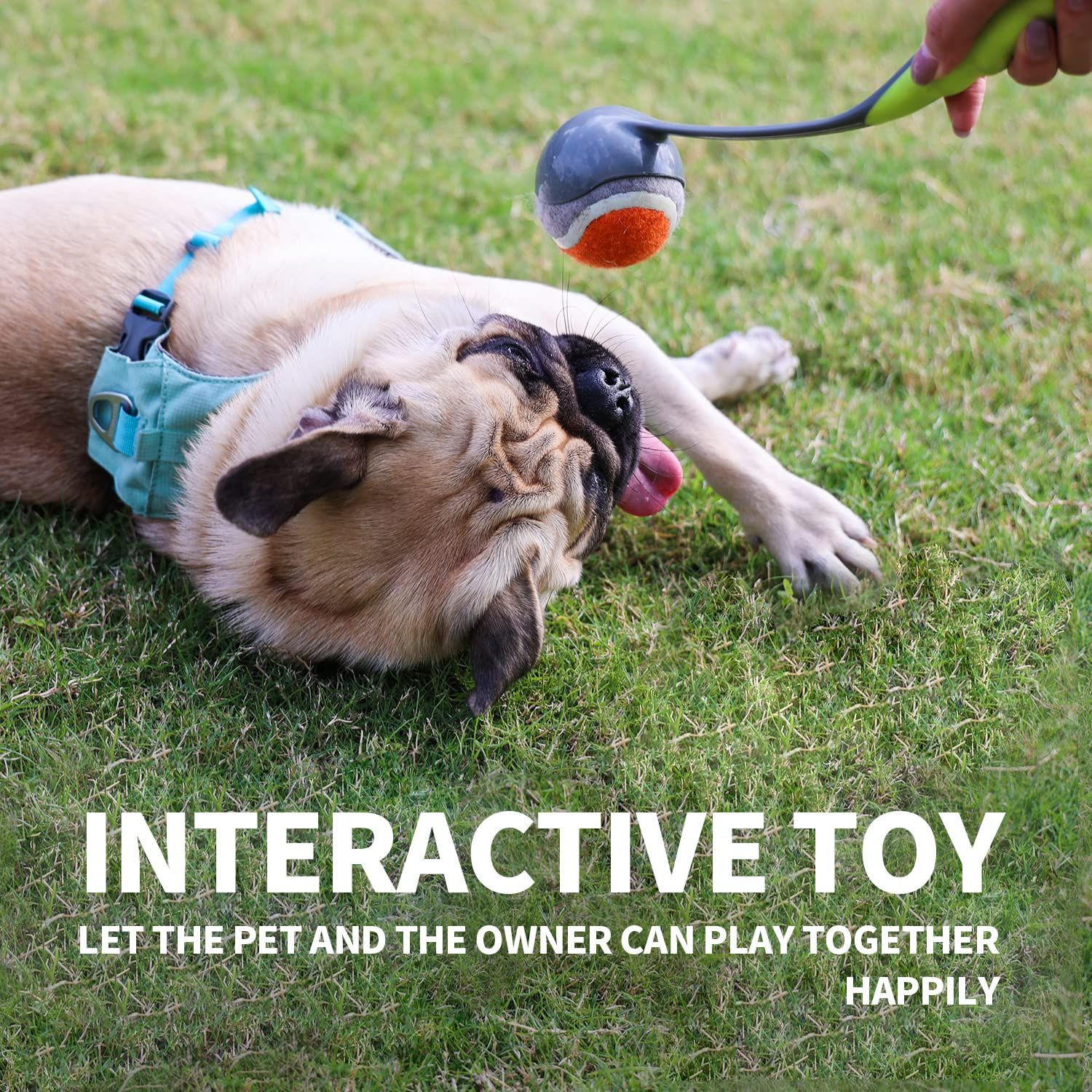PAWISE Dog Ball Launcher Dog Fetch Toy Dog Tennis Ball Thrower