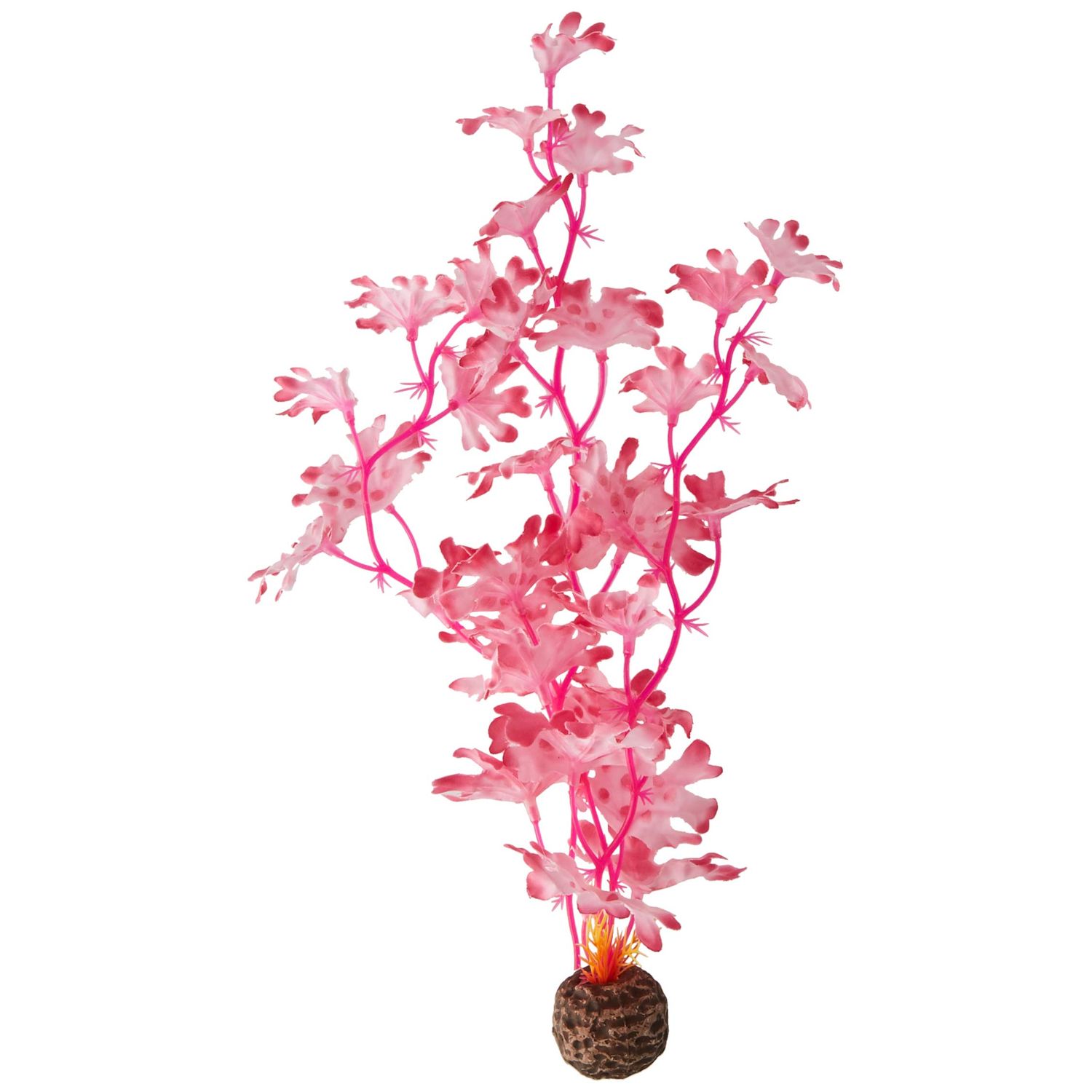 BiOrb 46082.0 Kelp Set Medium Pink Aquariums