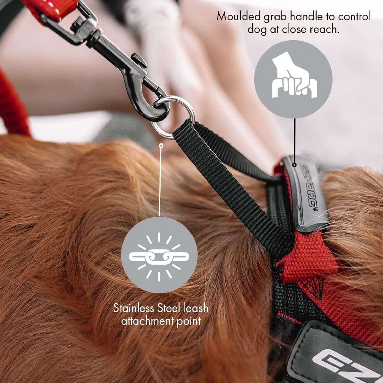 EZYDOG Express Dog Harness | Dog Harness for Small, Medium and Large Dogs, Angled Ergonomic Design, Moulded Grip Handle, Easy Release Side Buckle (L, Purple)