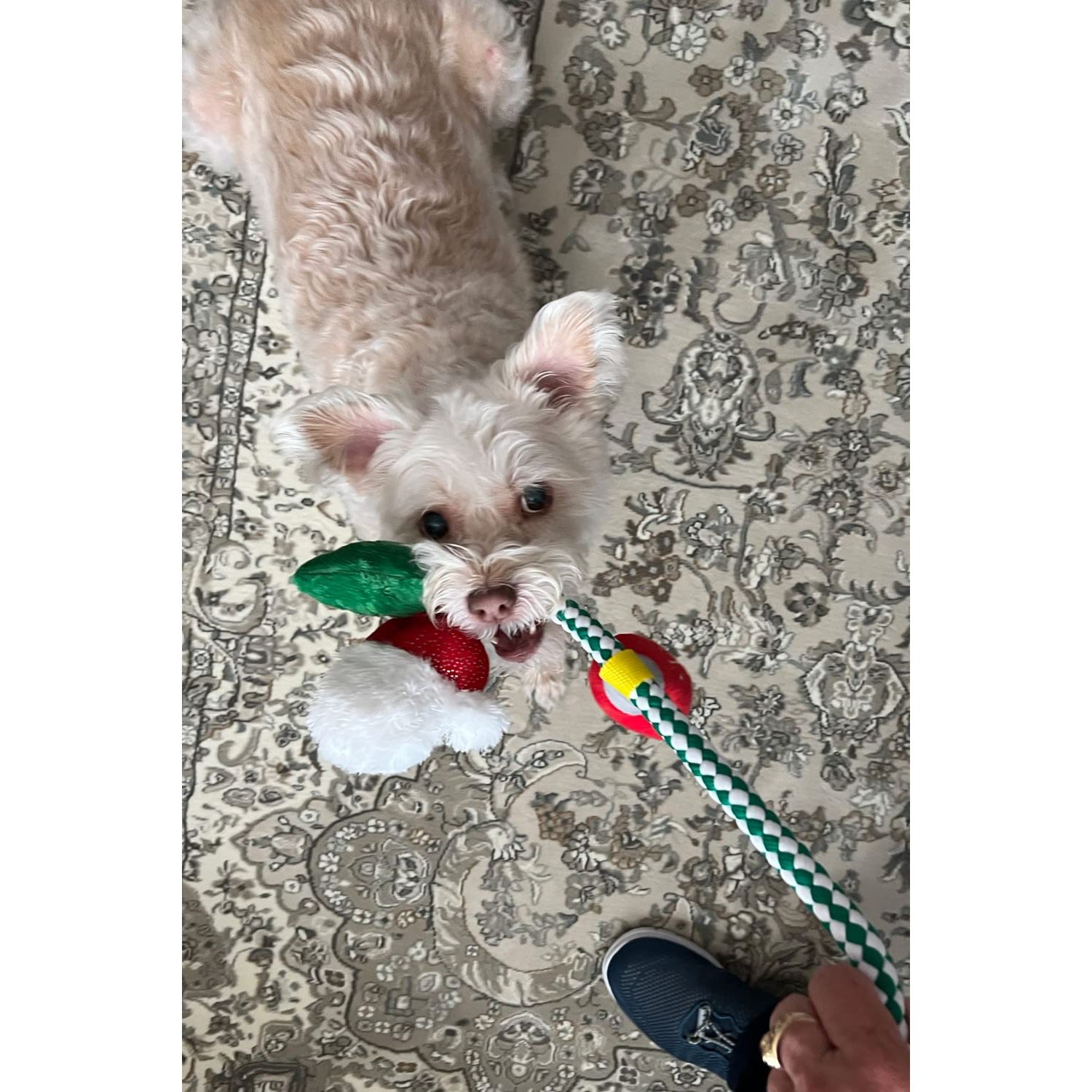Glory To Dog Christmas Ornament Rope Dog Toy Fun Plush Dog Chew Toy, Squeaky Interactive Dog Toy for Puppy Small Medium Pets Dogs