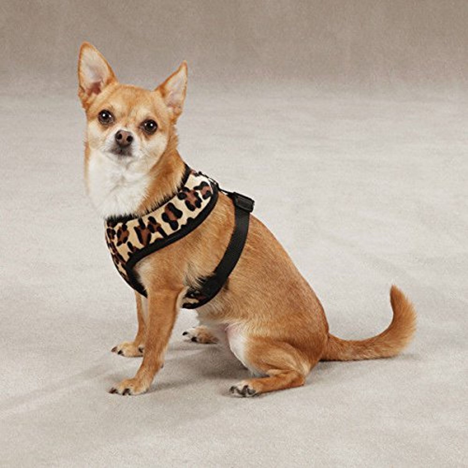 Zack & Zoey Zebra or Leopard Print Soft Plush Dog Harness Durable Reliable Walk Safety(Large Leopard Print)