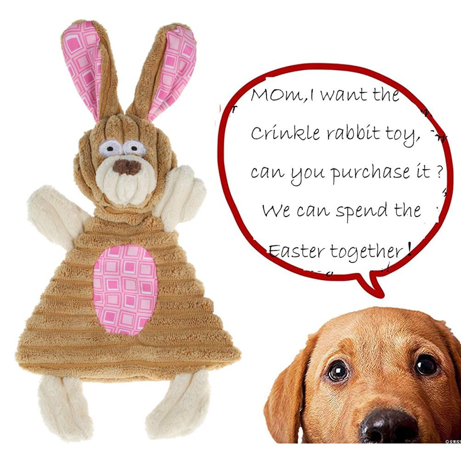 BoomBone Easter Dog Toys for Small Dogs 2 Pack, Carrot Dog Rope Toy and Bunny Crinkle Puppy Toy