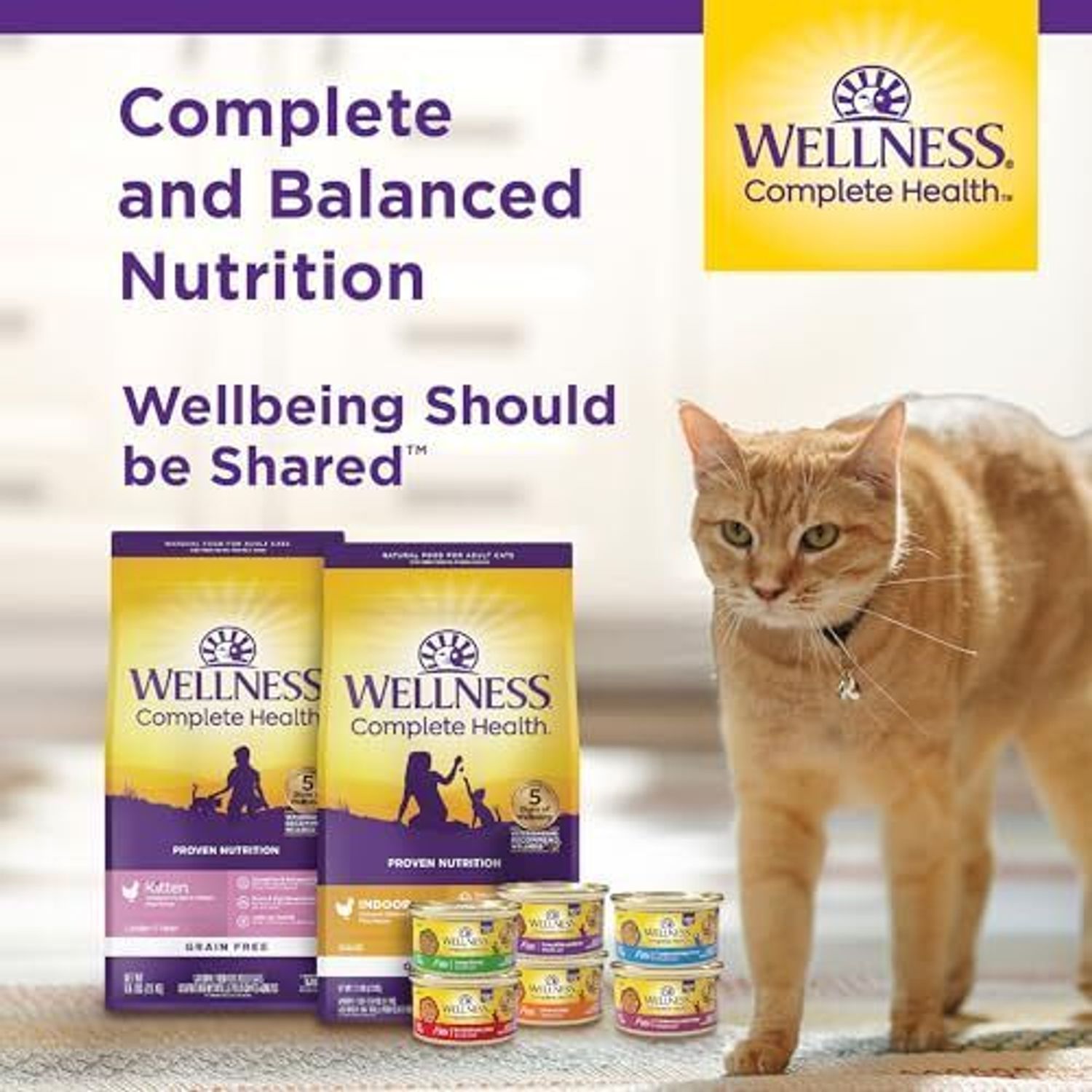 Wellness Grain Free Chicken Wet Cat Food 24 Pack 3 Ounce Pate Canned Cat Food