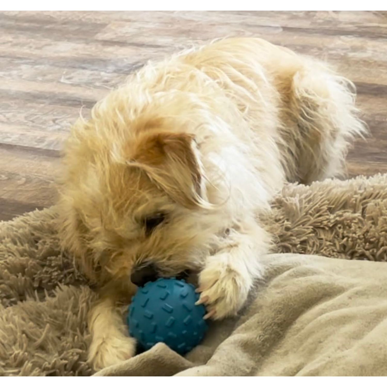 Challenging Treat-Dispensing Ball for Pigs Piglets Dogs Rabbits Cats and Other Small Animals – Mental Stimulation and Playtime Fun