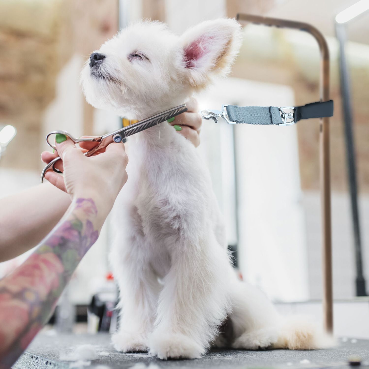 Groomer Essentials Adjustable Dog Grooming Arm Restraint – Multi-Use Pet Table