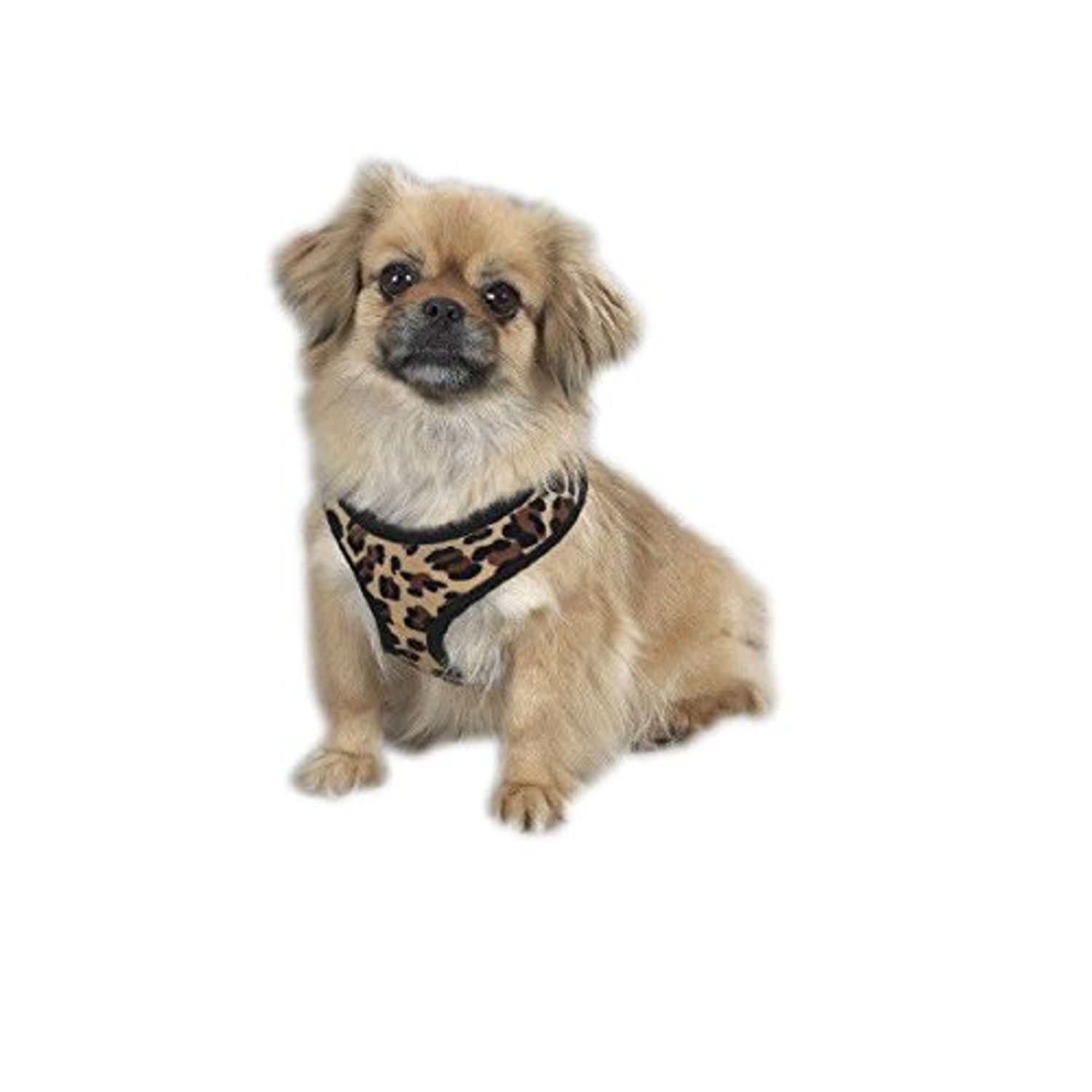 Zack & Zoey Zebra or Leopard Print Soft Plush Dog Harness Durable Reliable Walk Safety(Large Leopard Print)