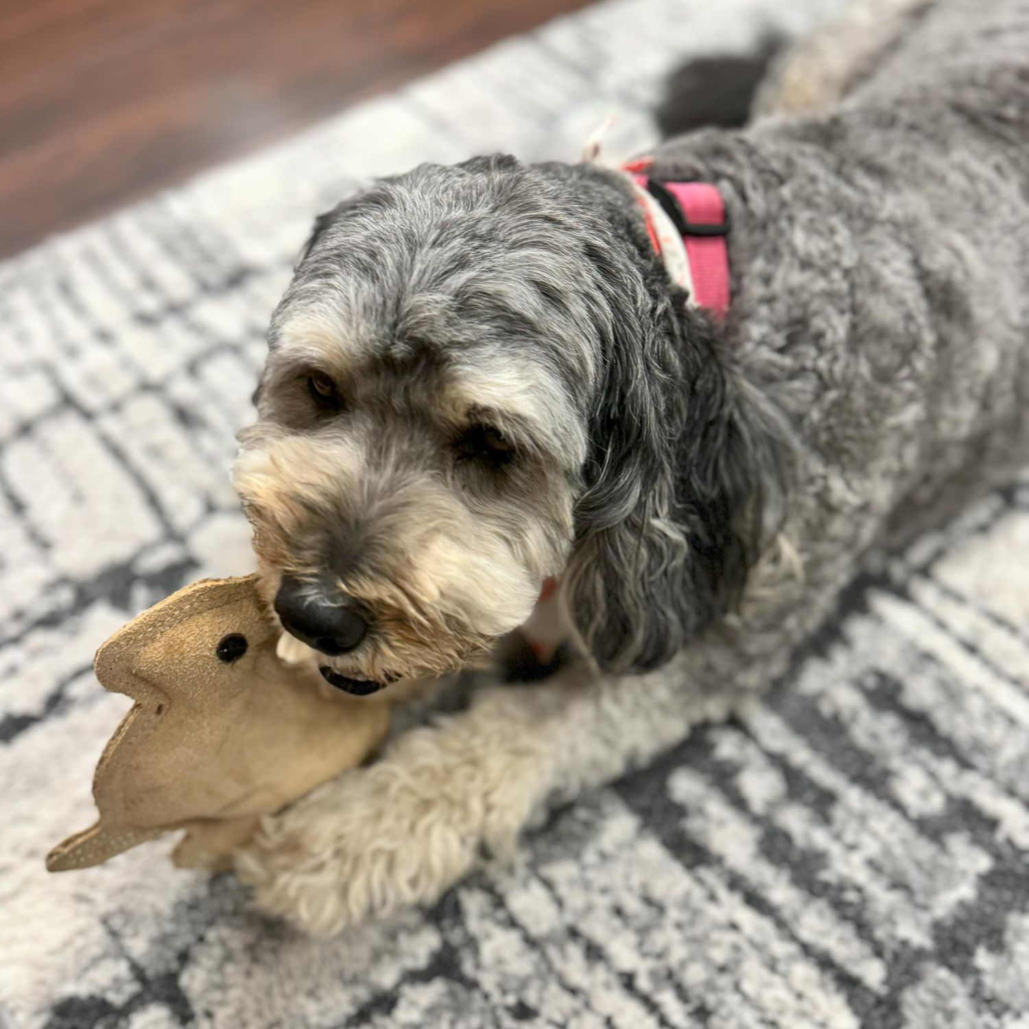 SPOT Dura-Fused Leather Rabbit - Durable Dog Toy with Squeaker, Real Leather & Jute Fabric, Interactive Toy for Moderate & Aggressive Chewers, Small and Medium Dogs and Puppies, 7.5in
