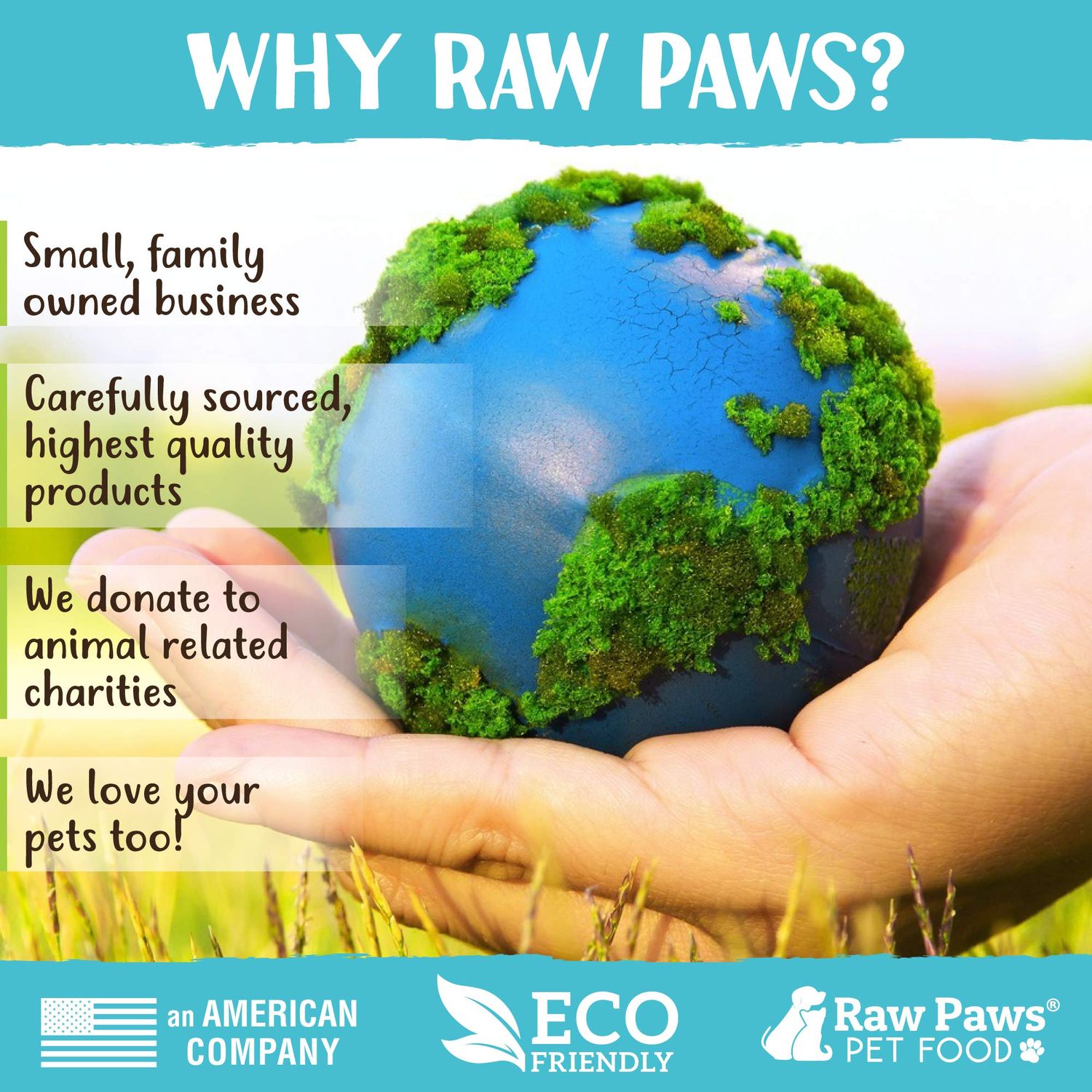 Raw Paws Silvervine Sticks, 30 ct - Silvervine Cat Toys for Indoor Cats - Catnip Sticks - Matatabi Cat Chew Stick - Silvervine for Cats, Silver Vine Sticks Cat Kicker Toy, Cat Toy Silvervine