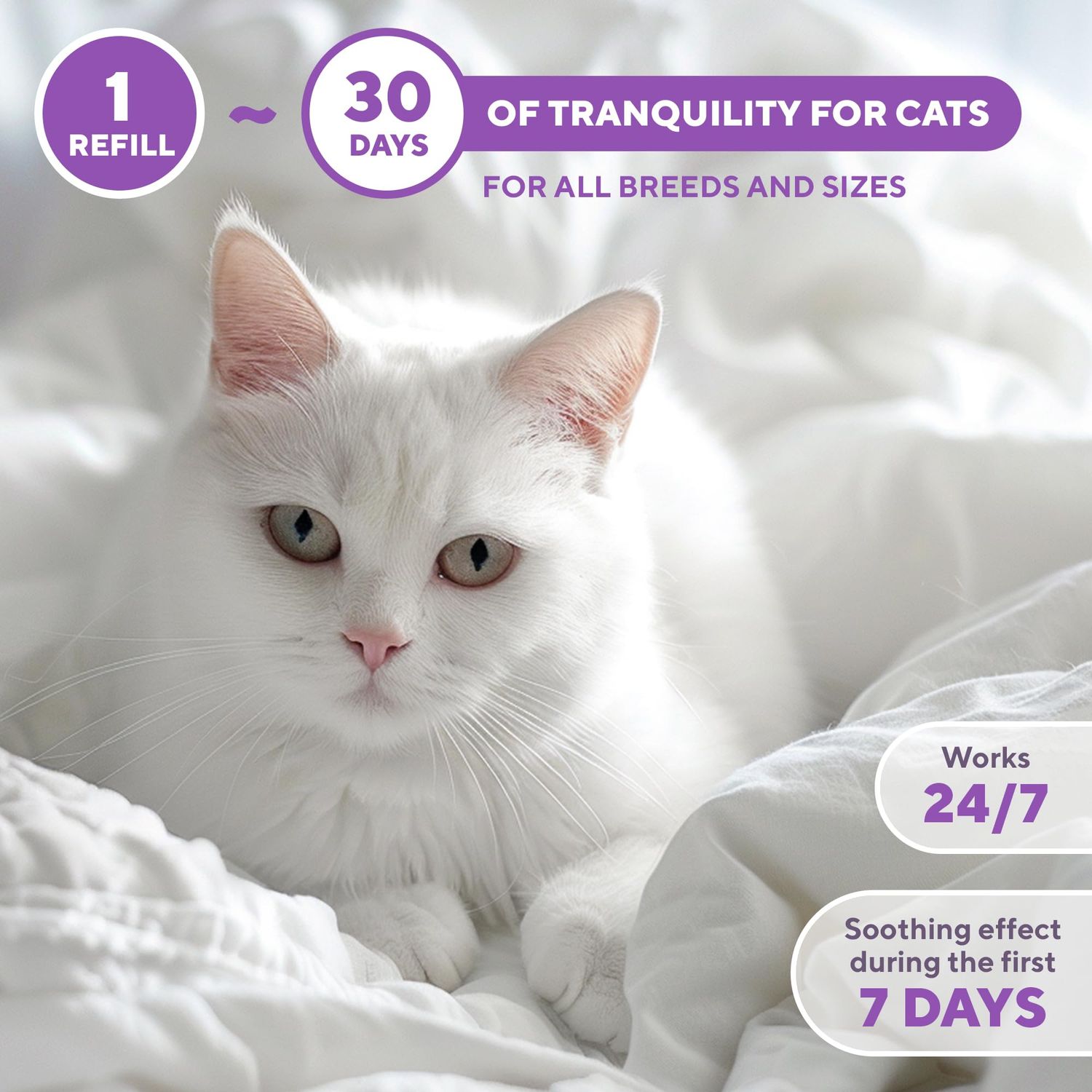 Beloved Pets Cat Calming Diffuser & Pet Anti Anxiety Products - Feline Calm Pheromones Plug in & Cats Stress Relief Comfort Helps with Pee, New Zone, Aggression (2 Pack (2 Diffusers + 2 Refills))