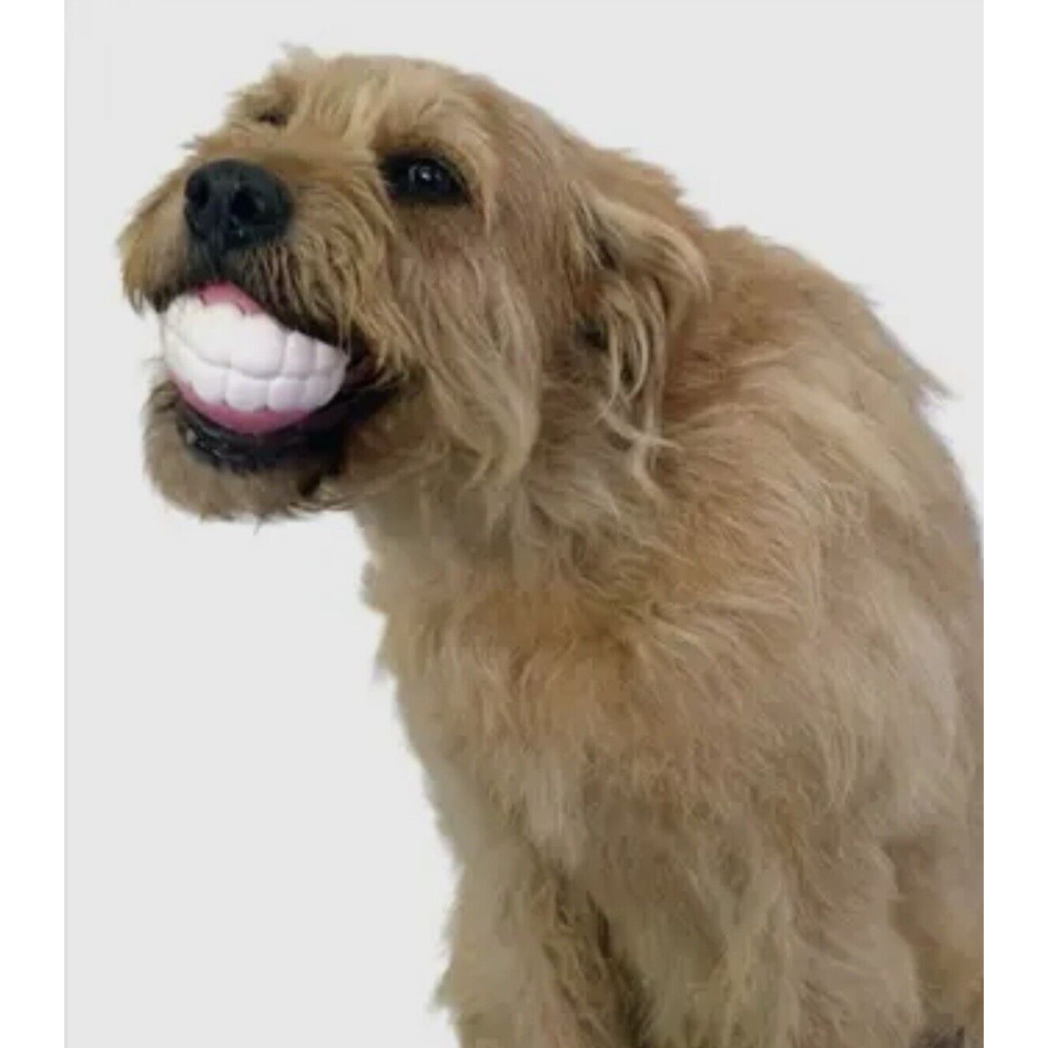 HUMUNGA Teeth Bling Funny Teeth Rubber Pet Dog Toy Fetch Ball Medium/Large