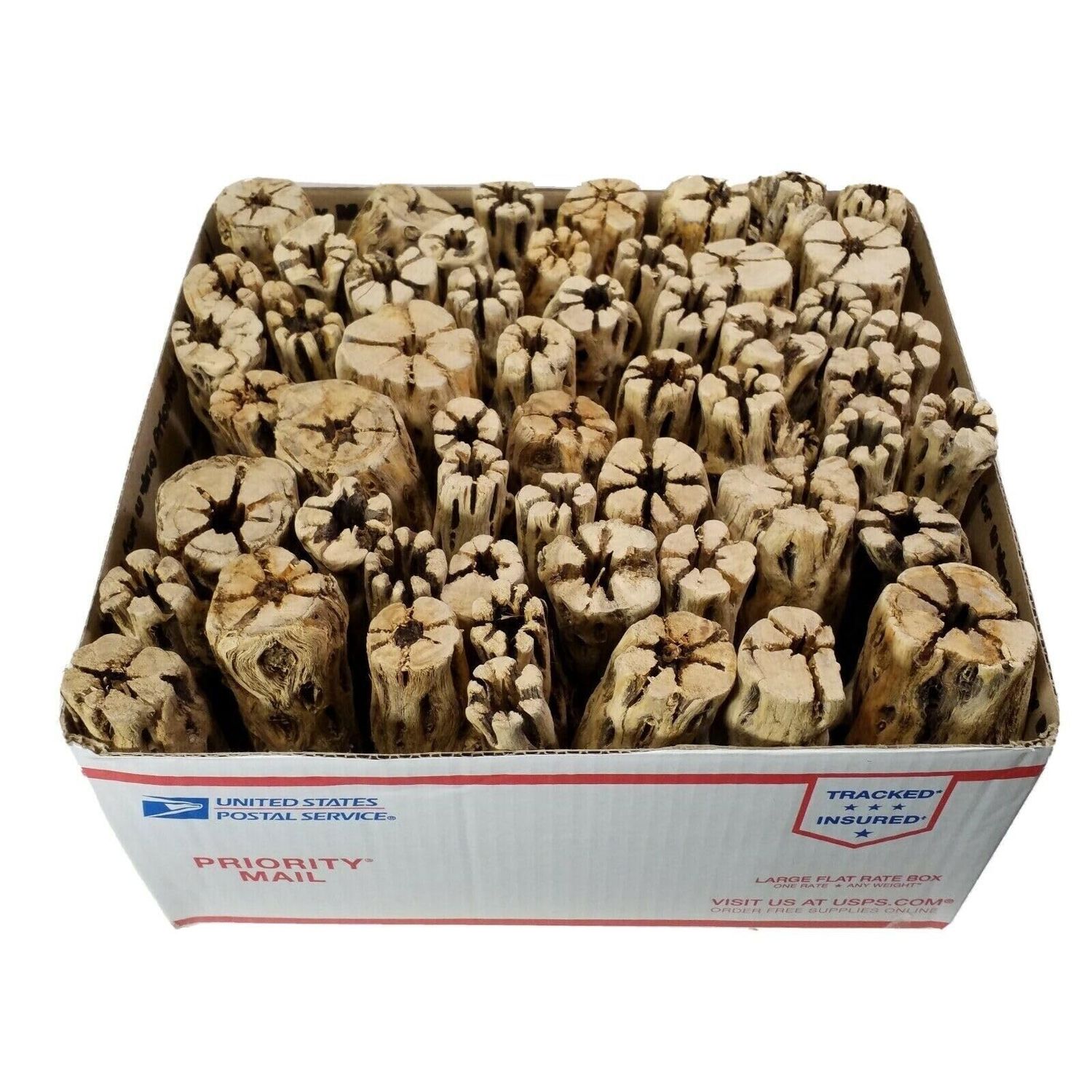 Aquatic Foods Inc. 6" Cholla Wood for Freshwater Shrimp, Crabs, Snails, Crayfish and All Aquariums Extra Tourmaline Mineral Supplement Balls Included - 50-Pieces