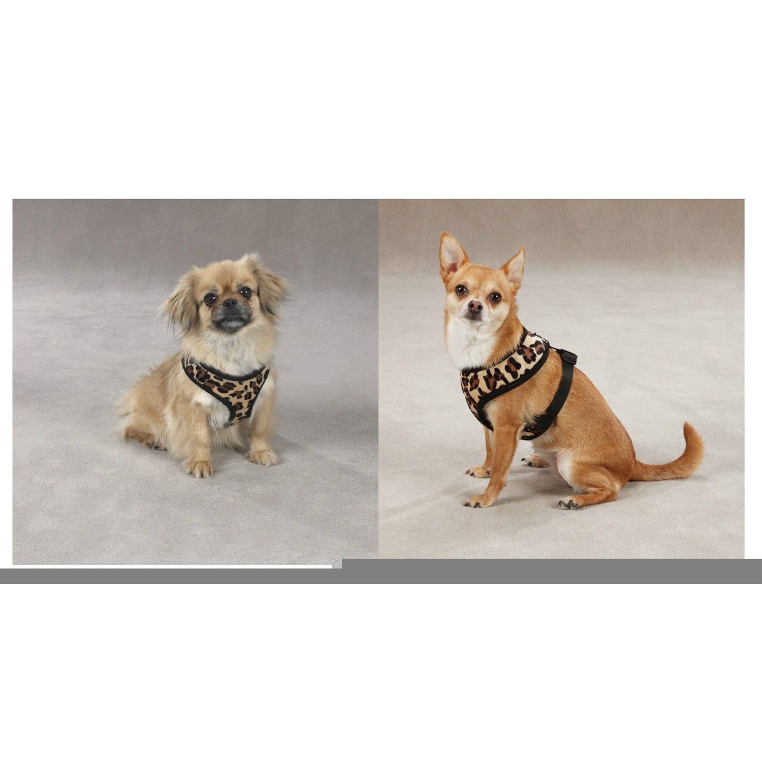 Zack & Zoey Zebra or Leopard Print Soft Plush Dog Harness Durable Reliable Walk Safety(Large Leopard Print)