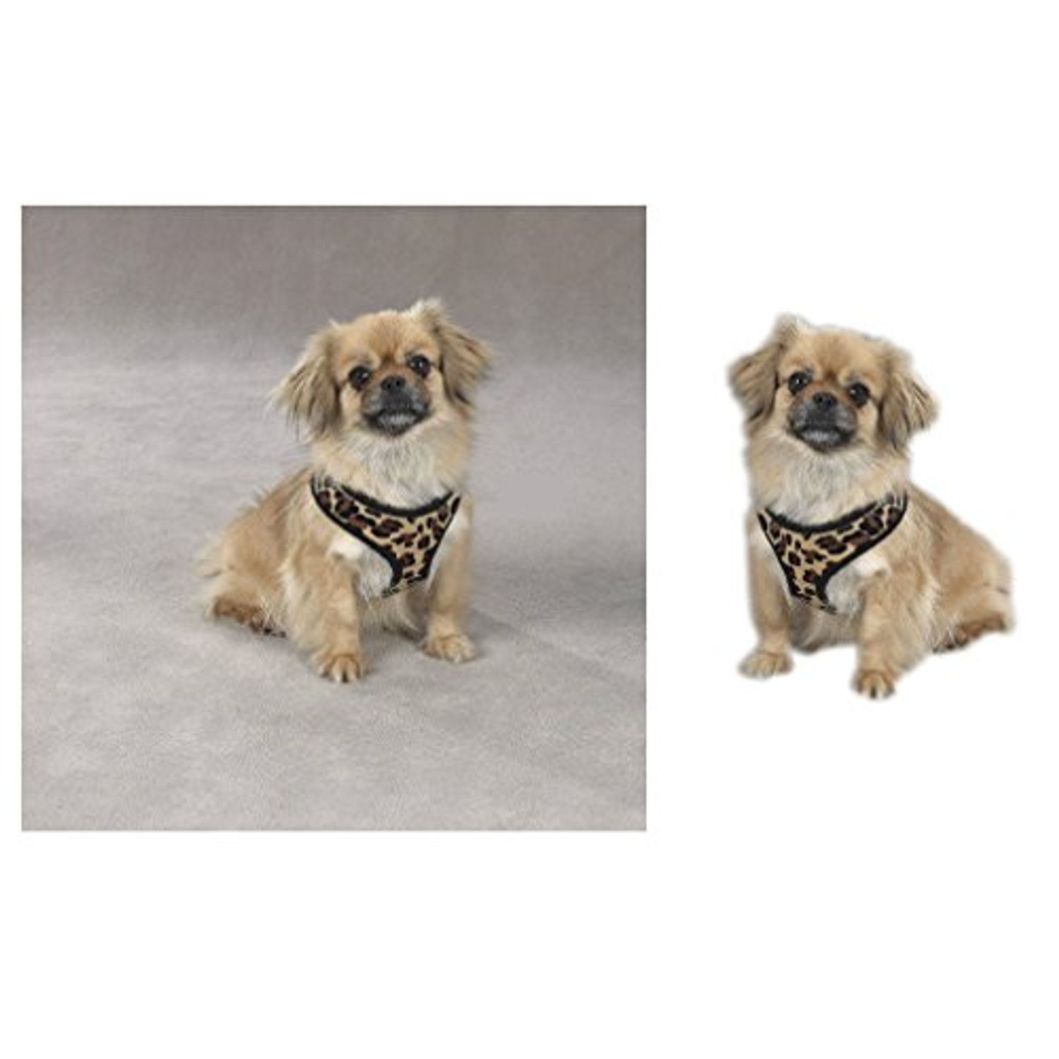 Zack & Zoey Zebra or Leopard Print Soft Plush Dog Harness Durable Reliable Walk Safety(Large Leopard Print)